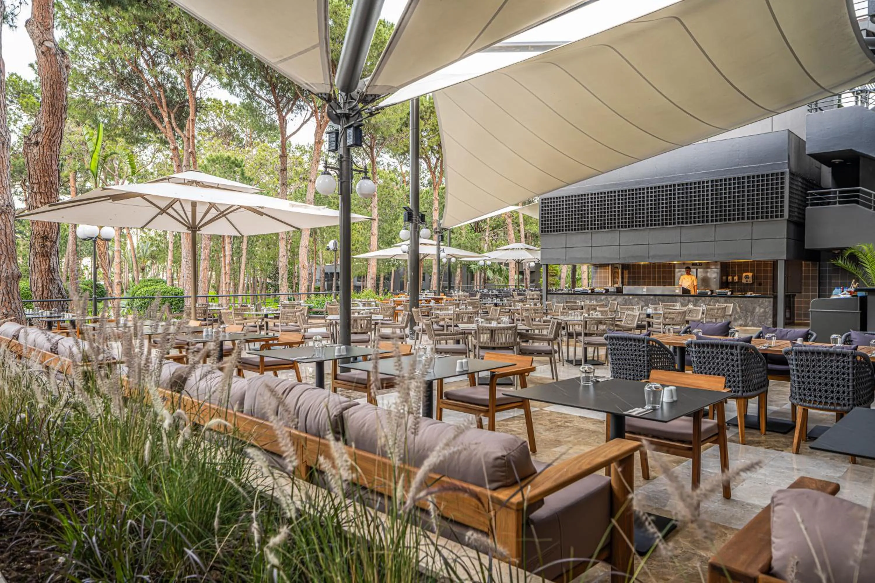 Restaurant/places to eat in Balmy Foresta