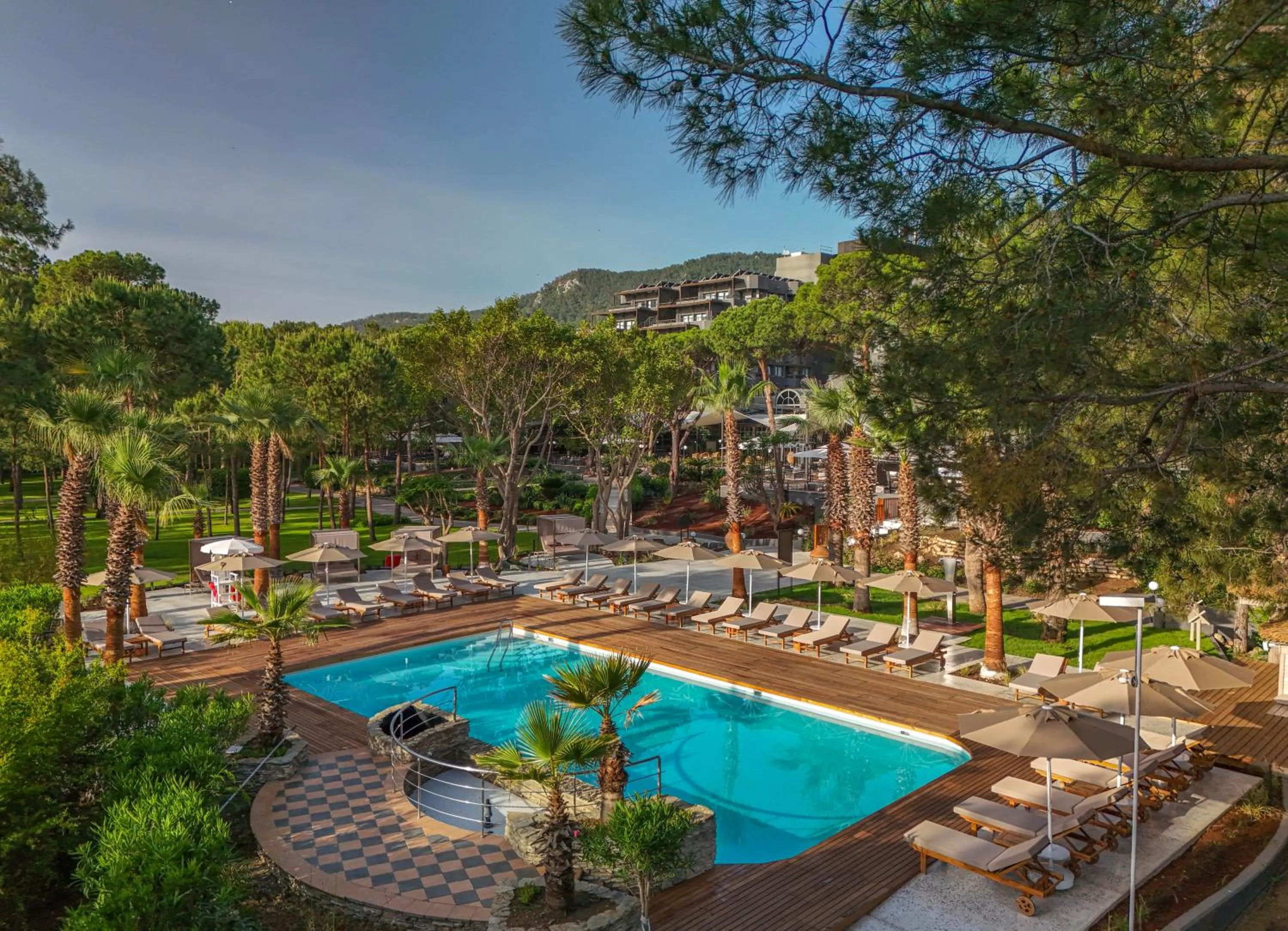 Spring in Balmy Foresta