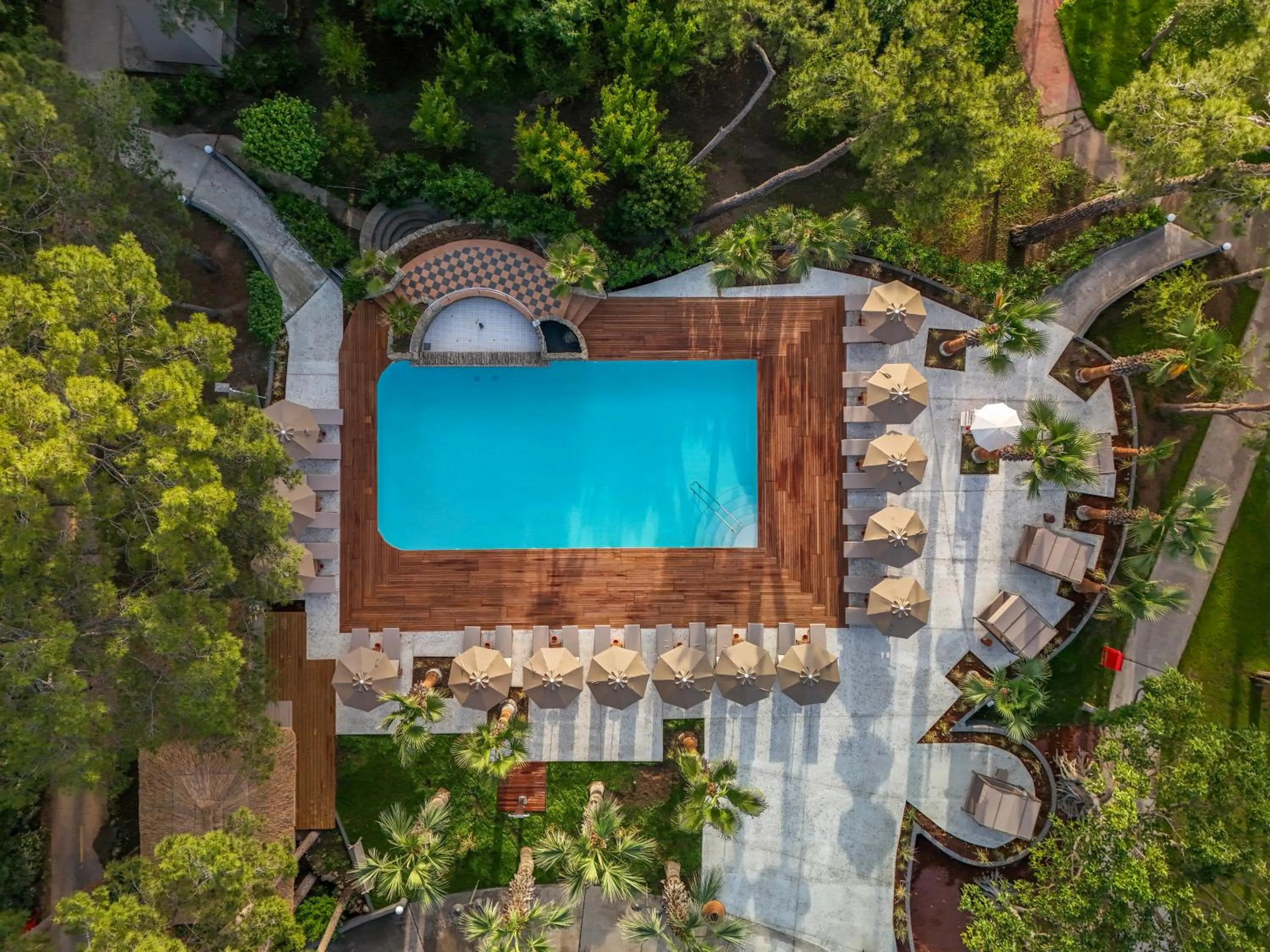 Bird's eye view in Balmy Foresta