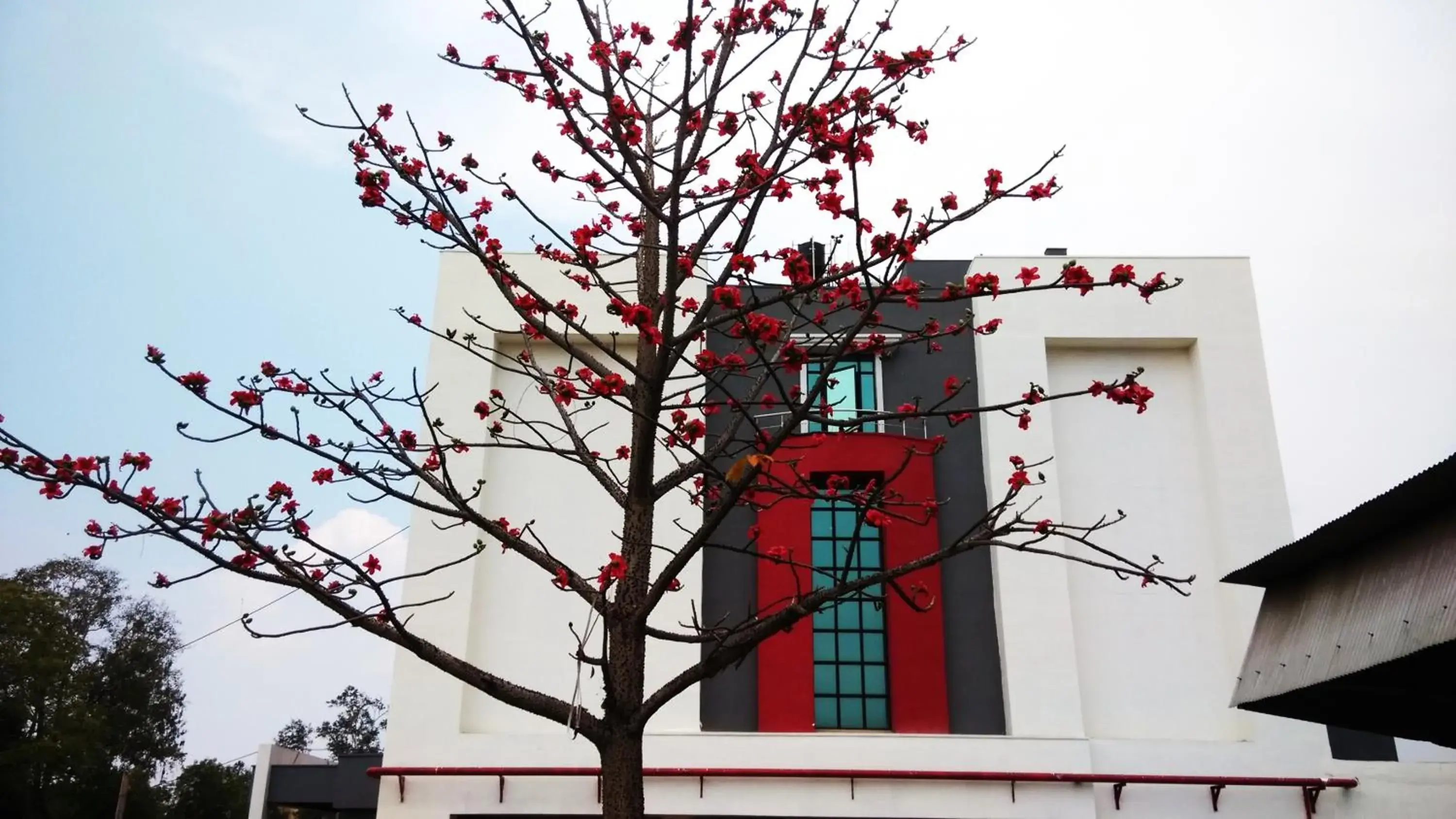 Property building in Max Hotels Jabalpur Property building in Max Hotels Jabalpur