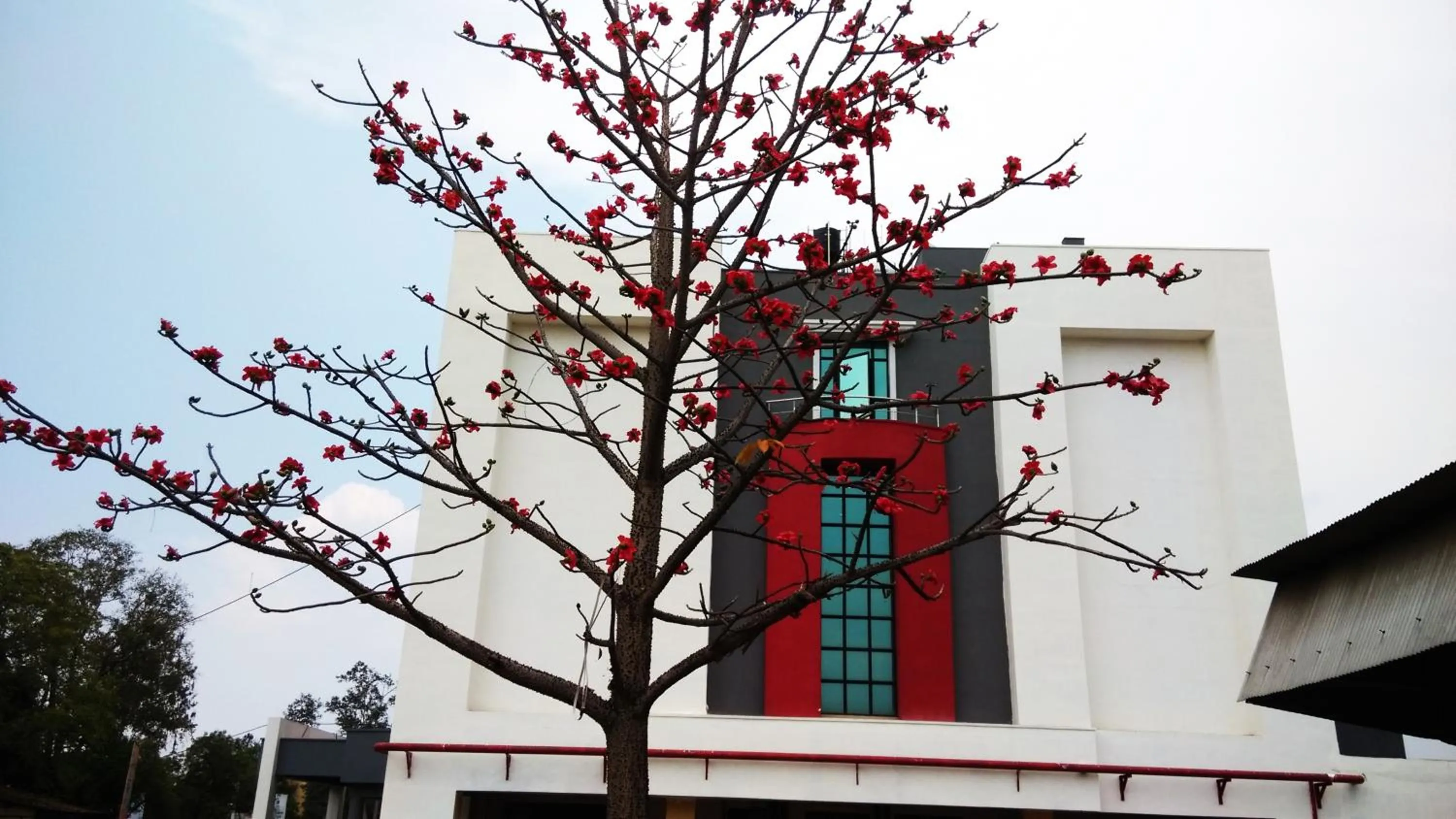 Property building in Max Hotels Jabalpur