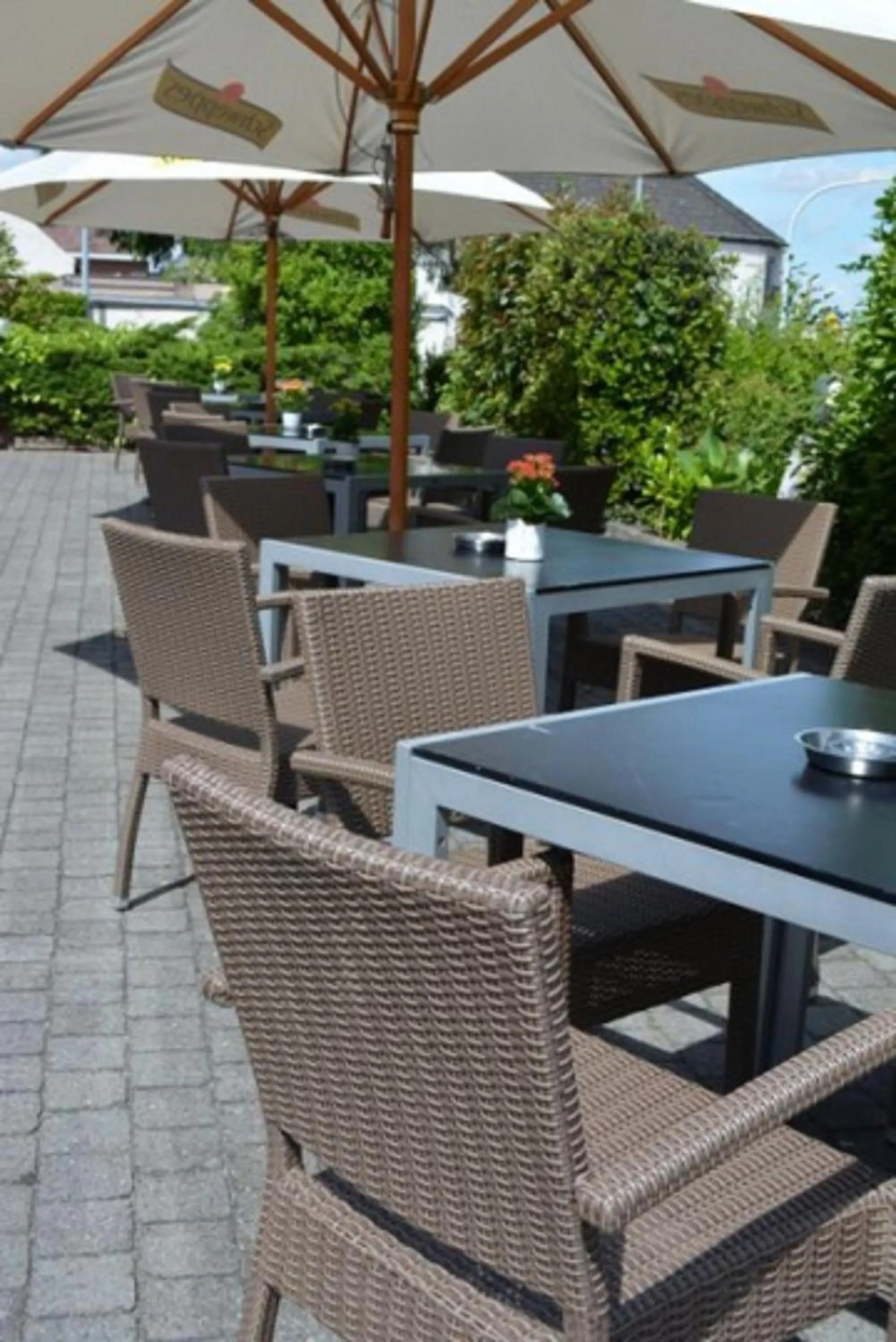 Balcony/Terrace in Hotel The New Fox