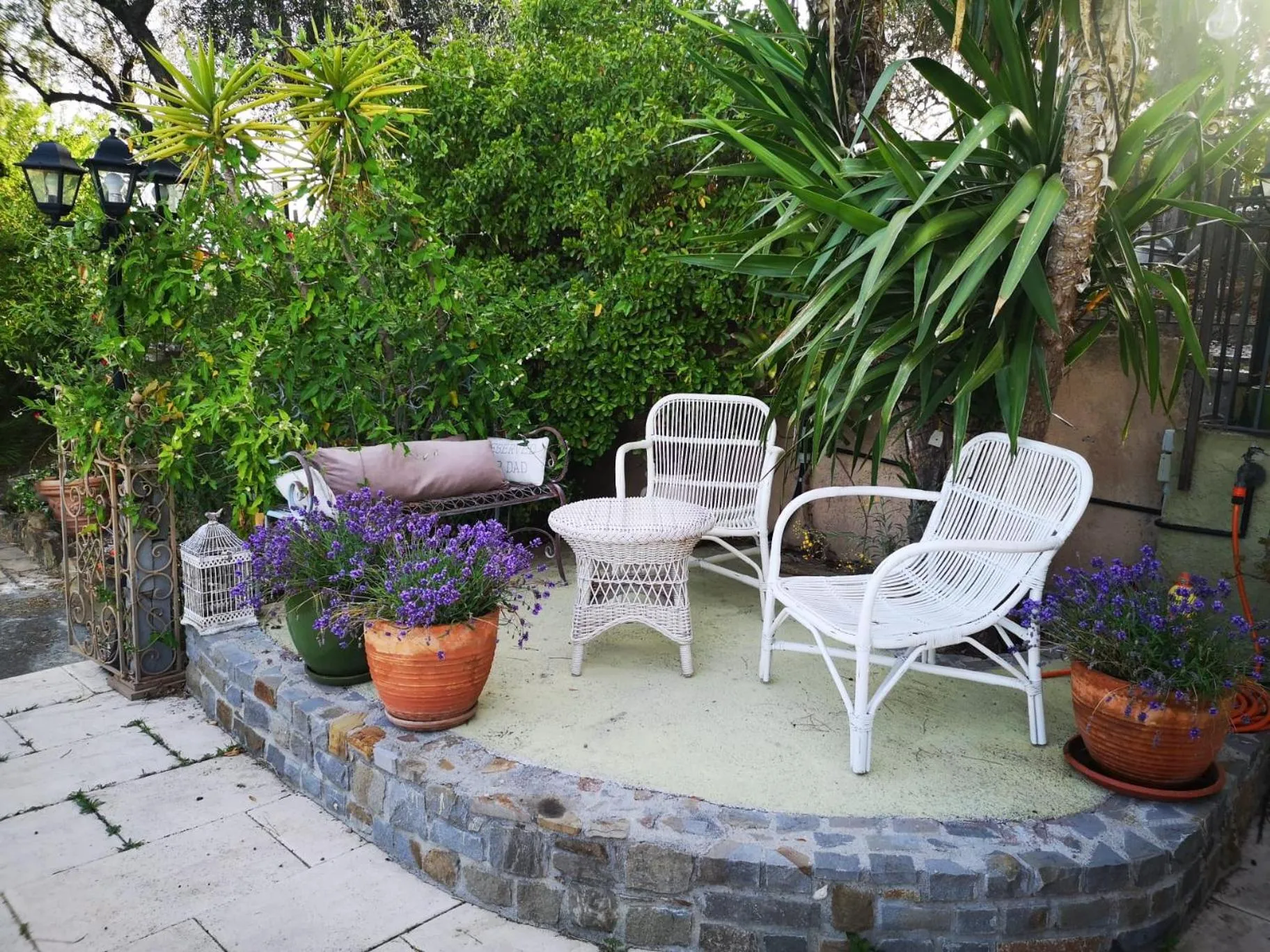 Garden in Peiranze144 b&b