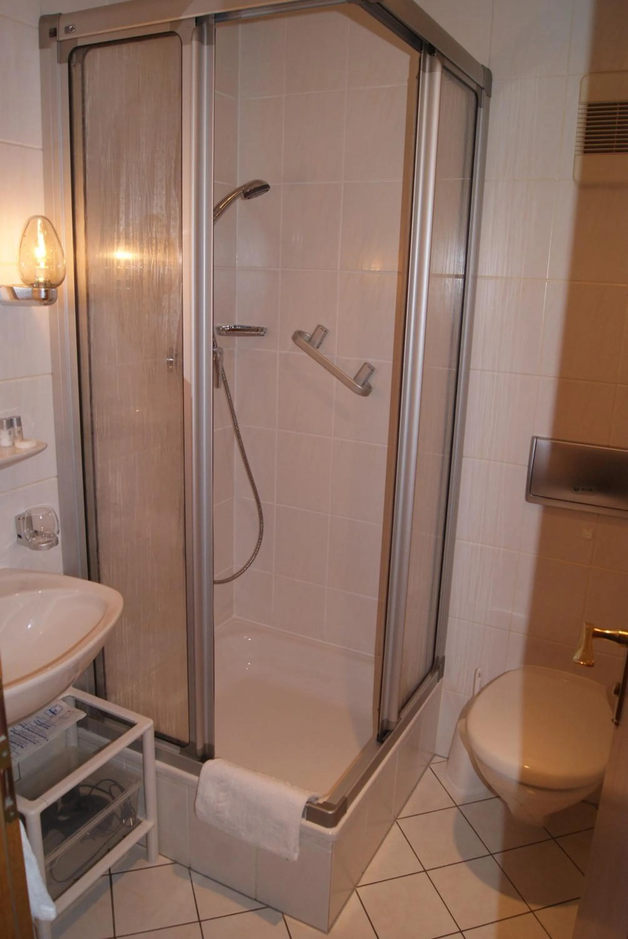 Shower in Hotel Zur Traube