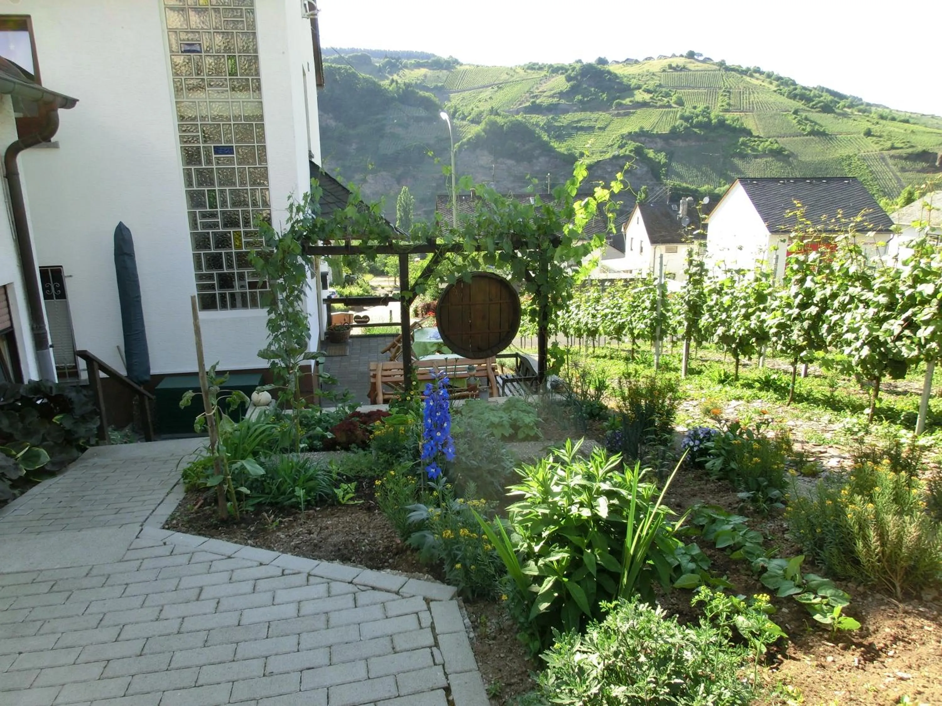 River view in Ferienwohnung Rivaner