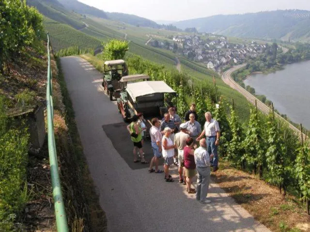 Activities in Ferienwohnung Rivaner