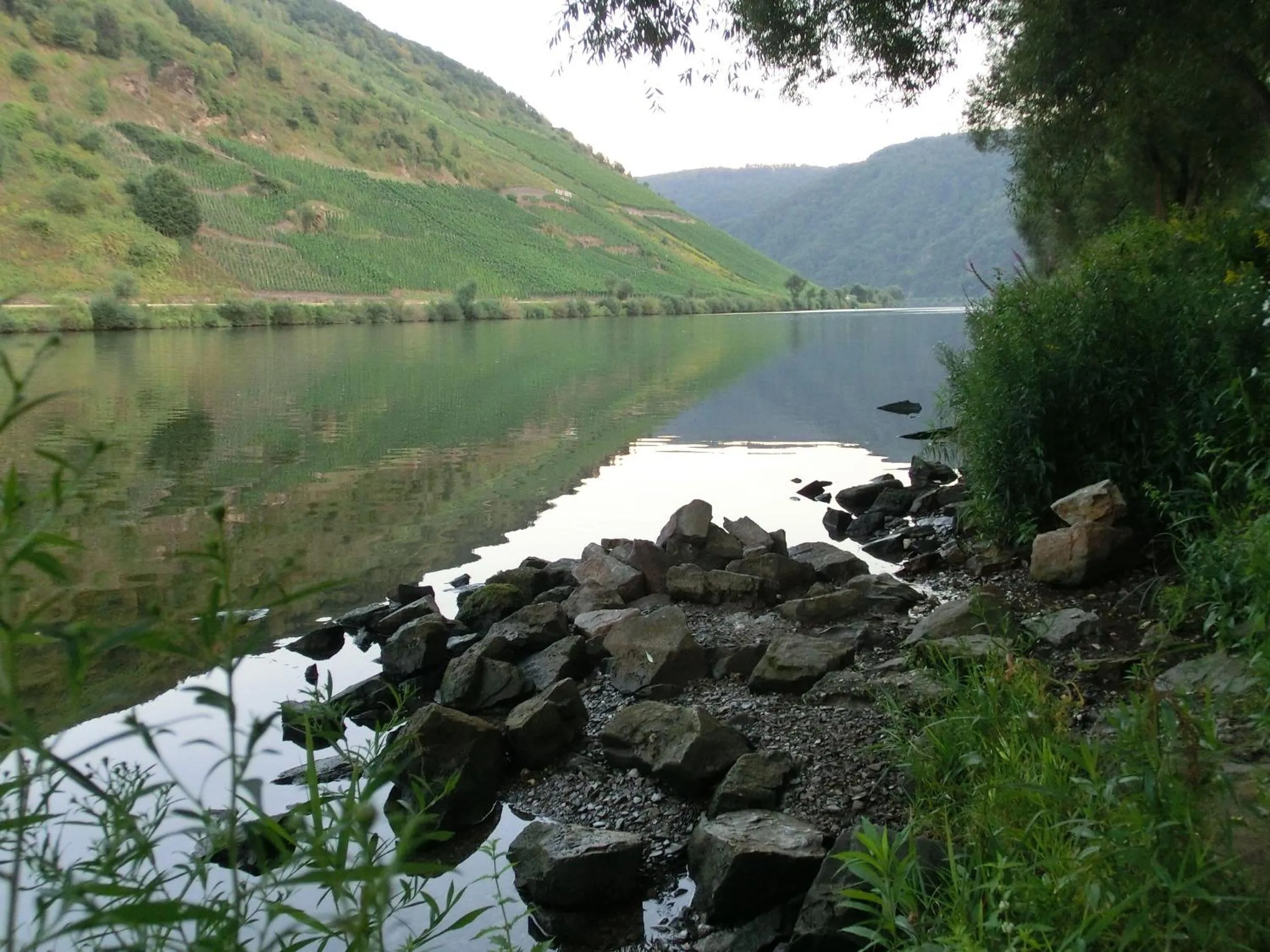 Natural landscape in Ferienwohnung Rivaner