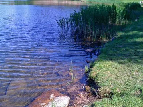 Facade/entrance in Hotel Fior Di Bosco