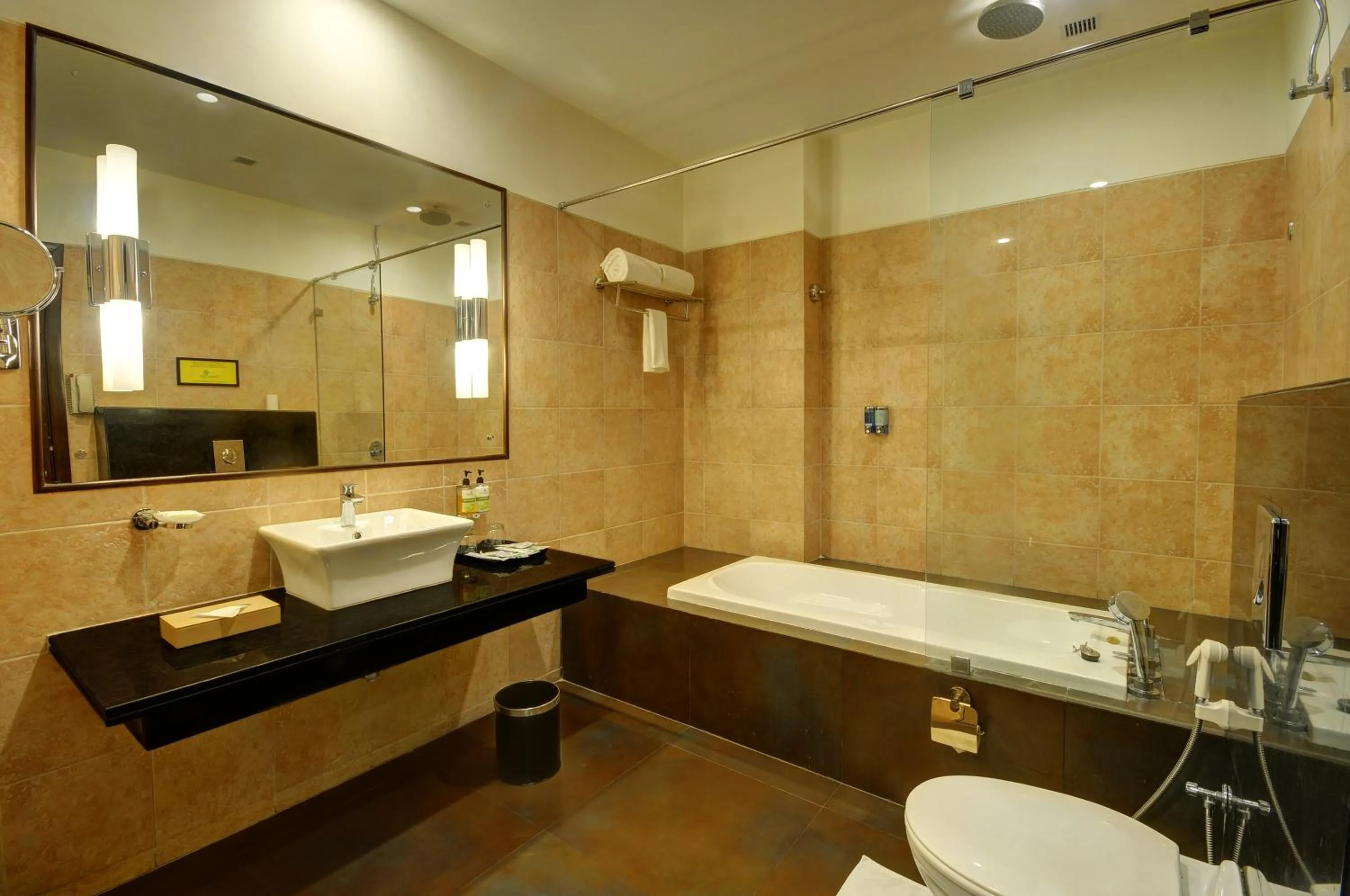 Bathroom in Regenta Central Hestia Dahej, Bhensali