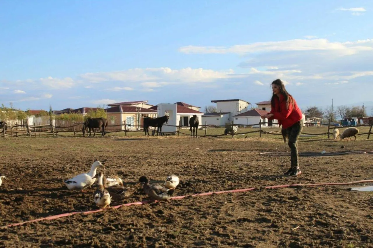 Paradise Investment Resort