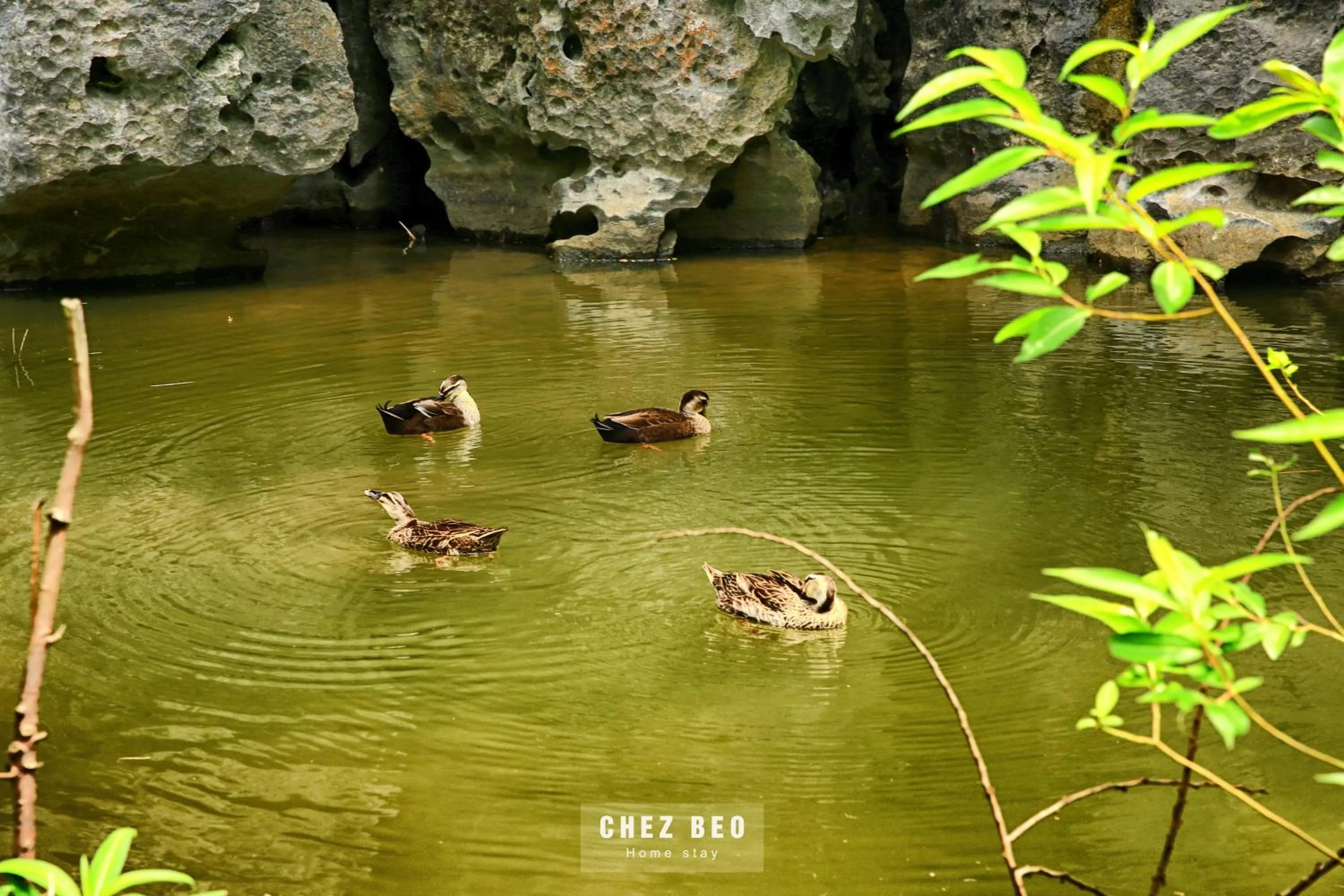 On site in Chez Beo Homestay