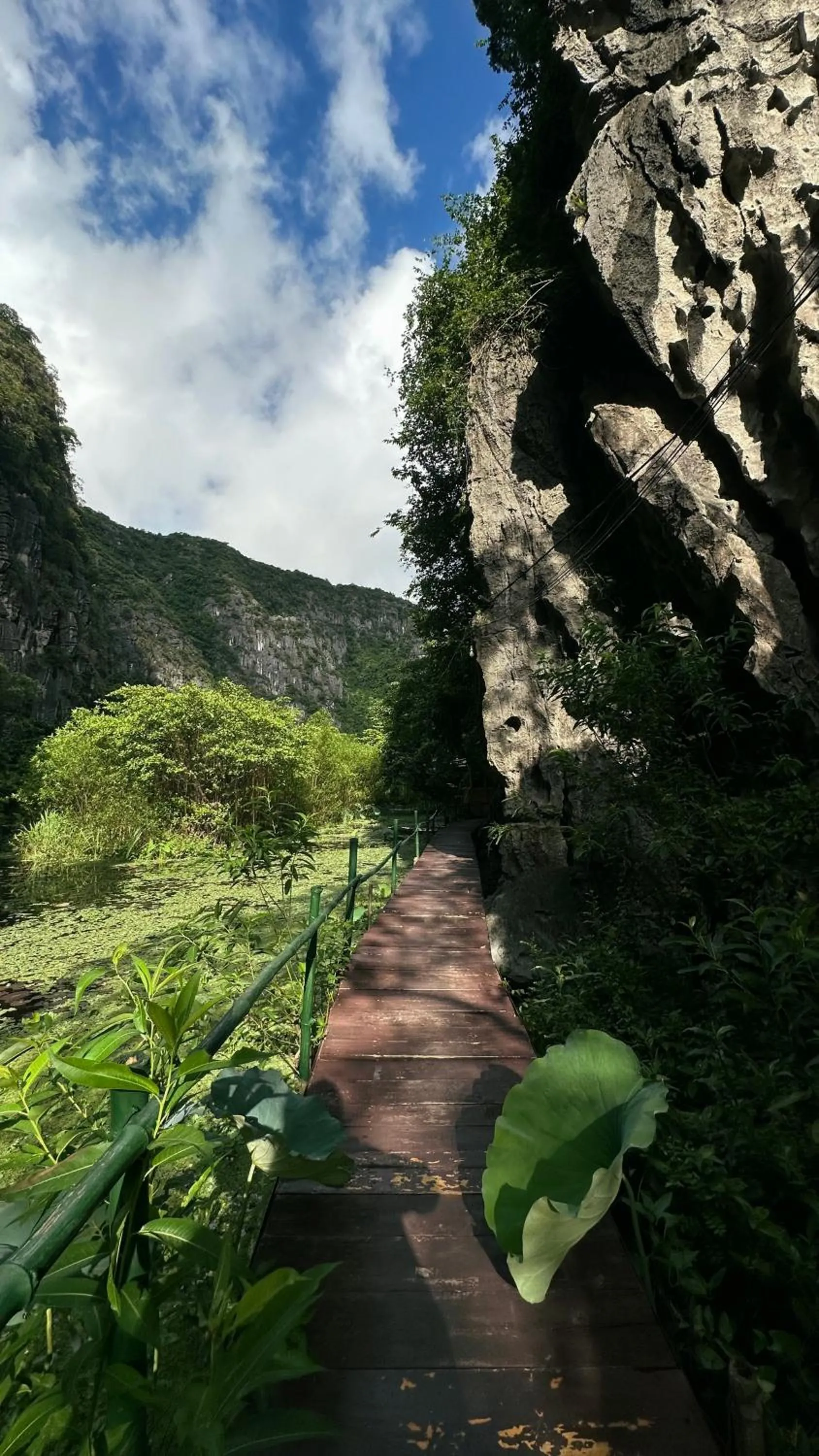 View (from property/room) in Chez Beo Homestay