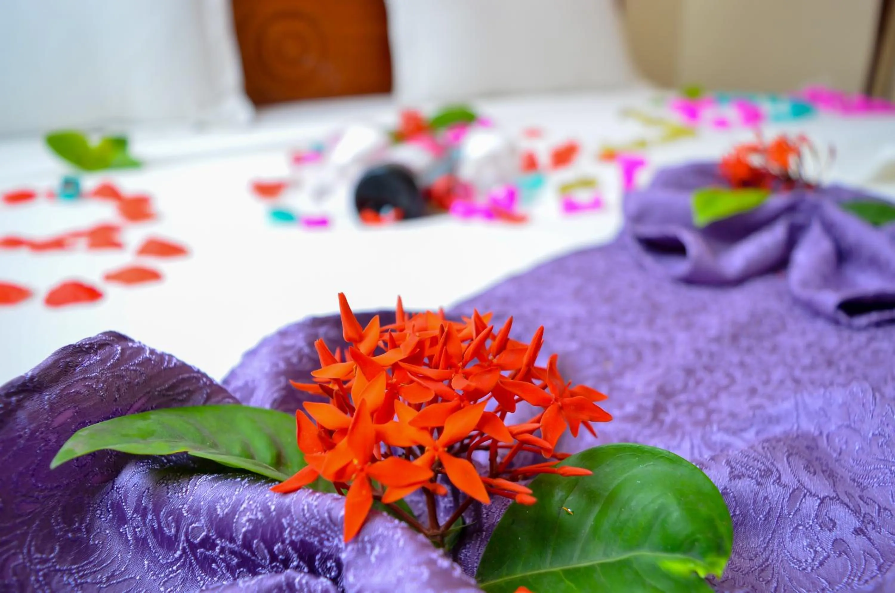 cot in Silver Paradise Hotel