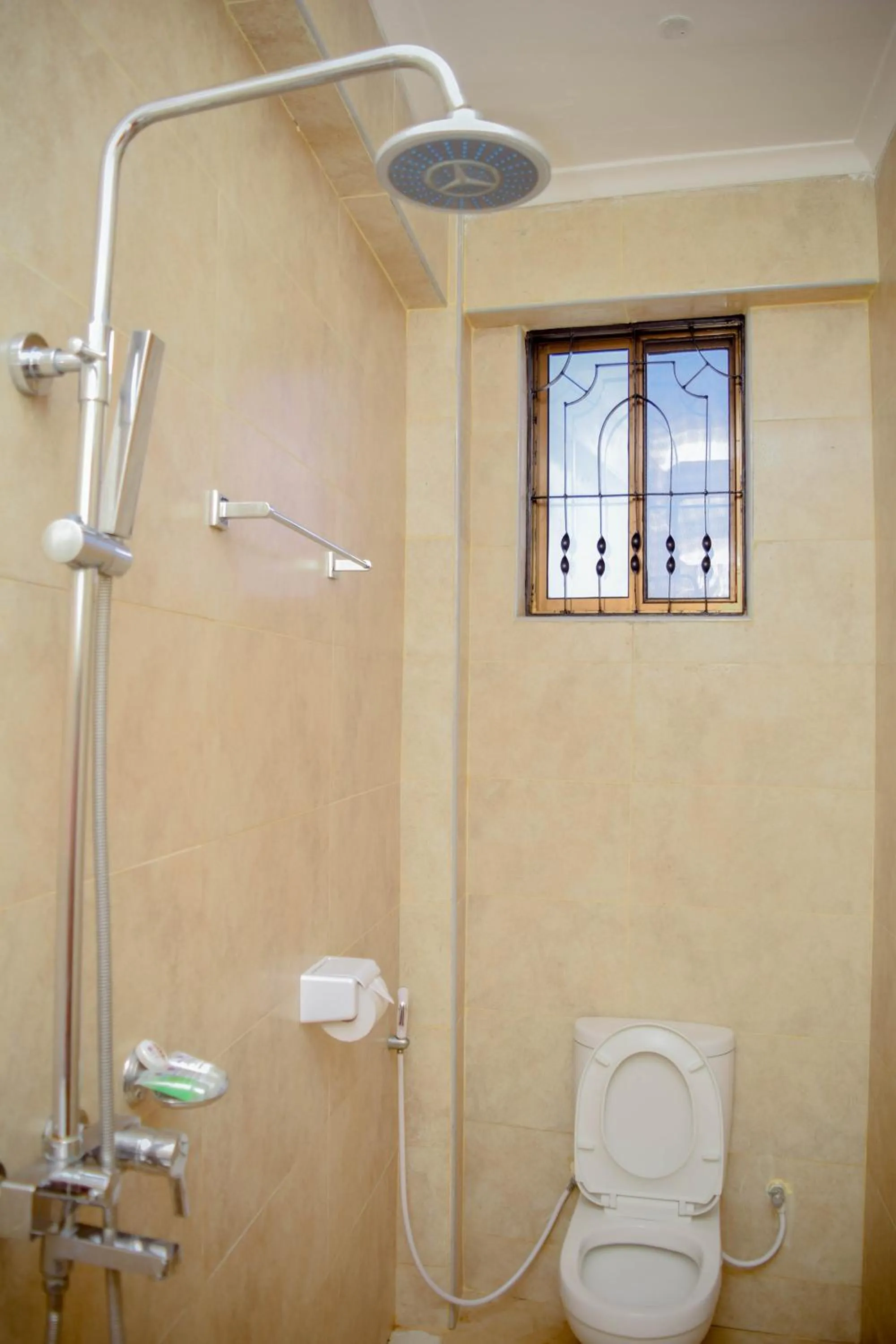 Toilet in Silver Paradise Hotel