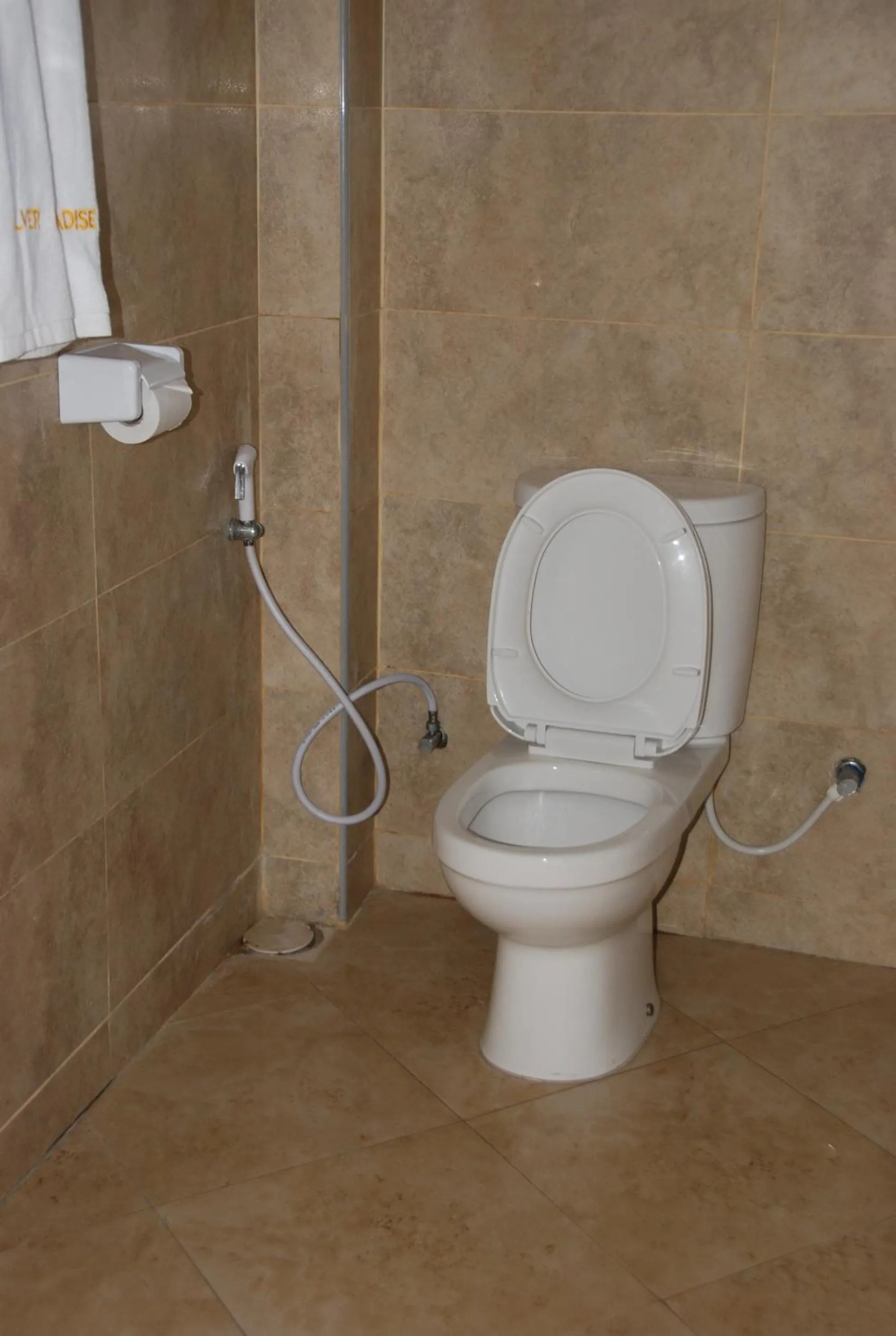 Toilet in Silver Paradise Hotel