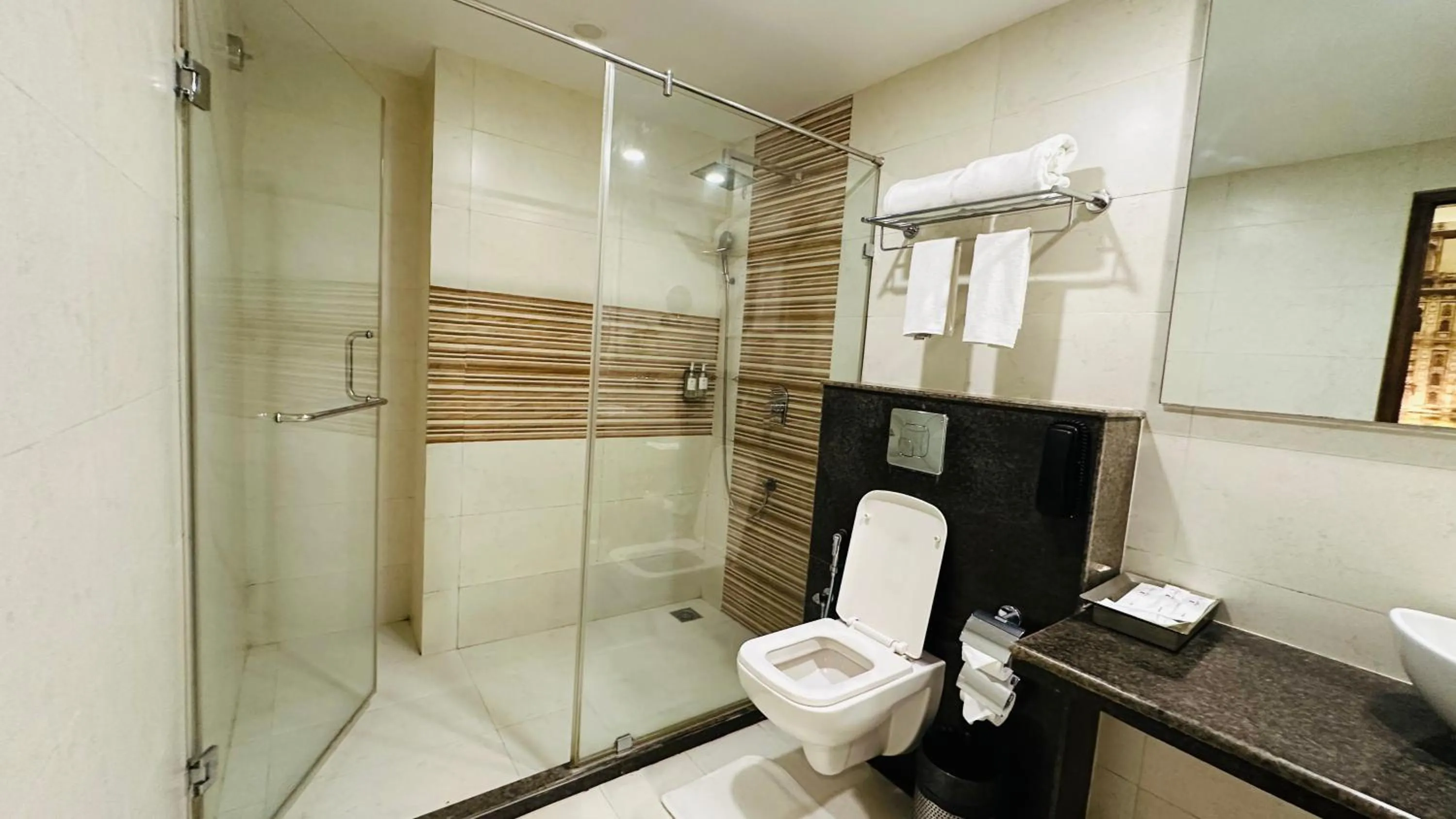 Bathroom in Regenta Central Jaipur