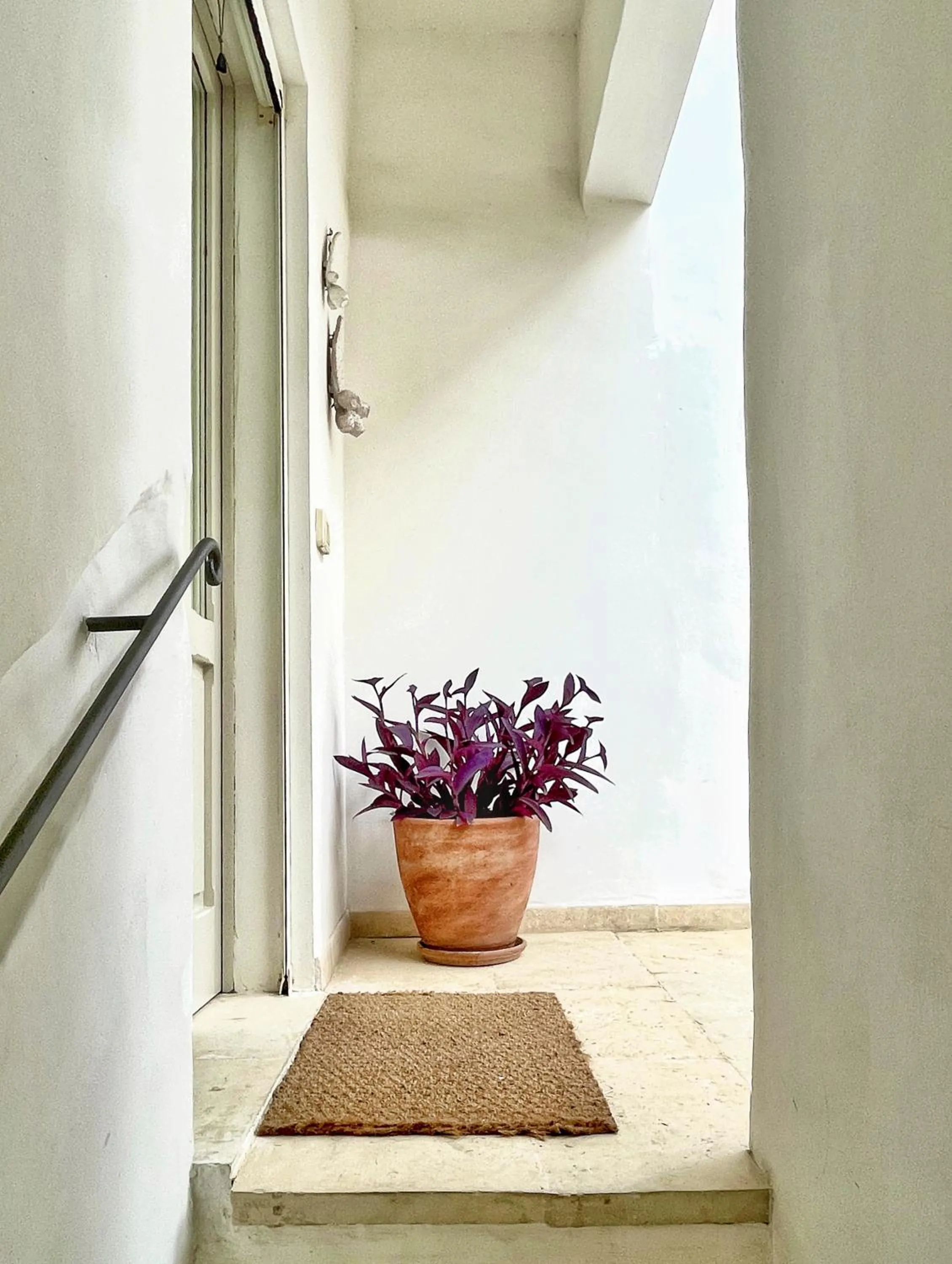 Cà Mì Apartment