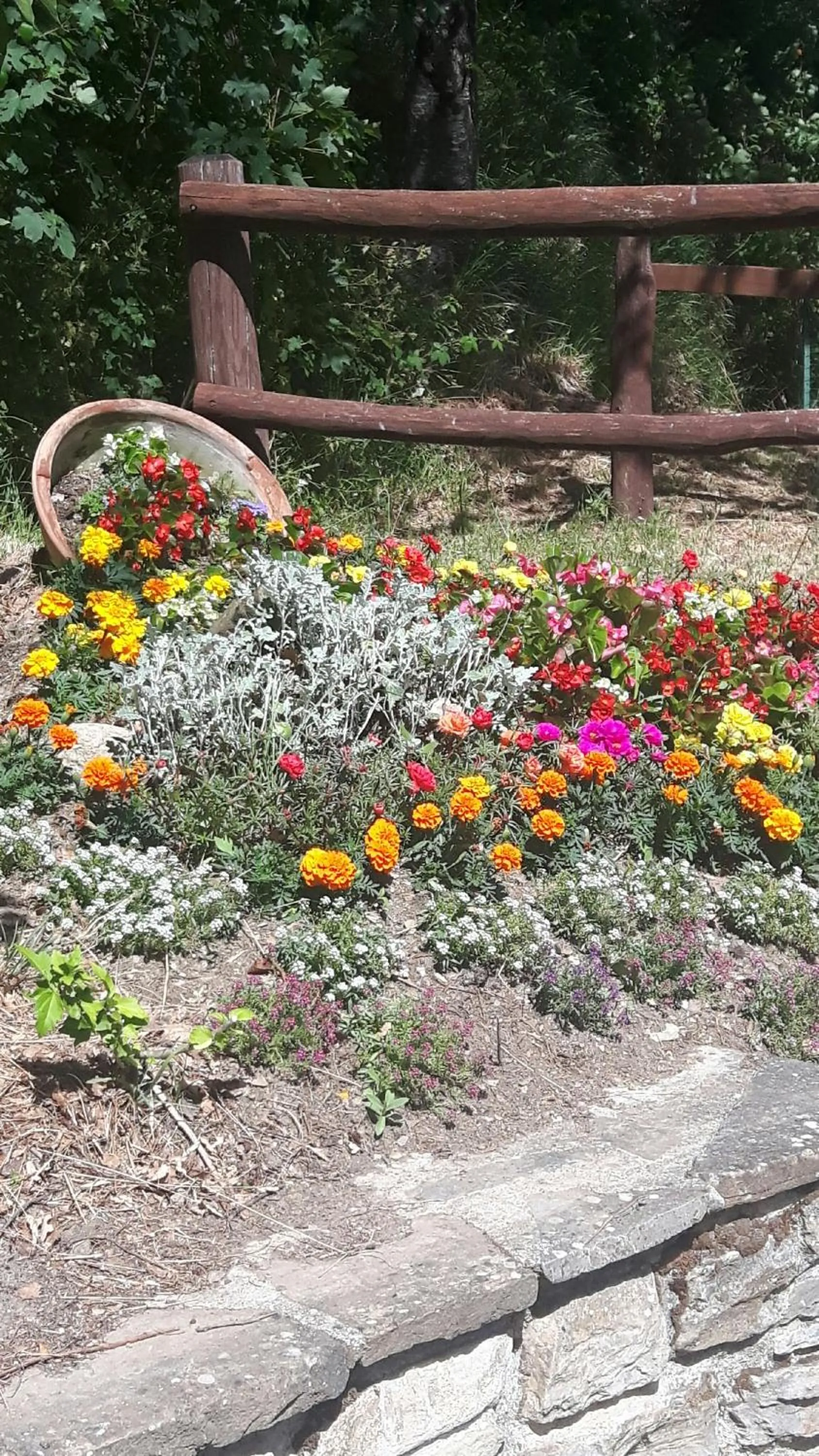Garden in B&B Borgo Valagnesi casa Annarita
