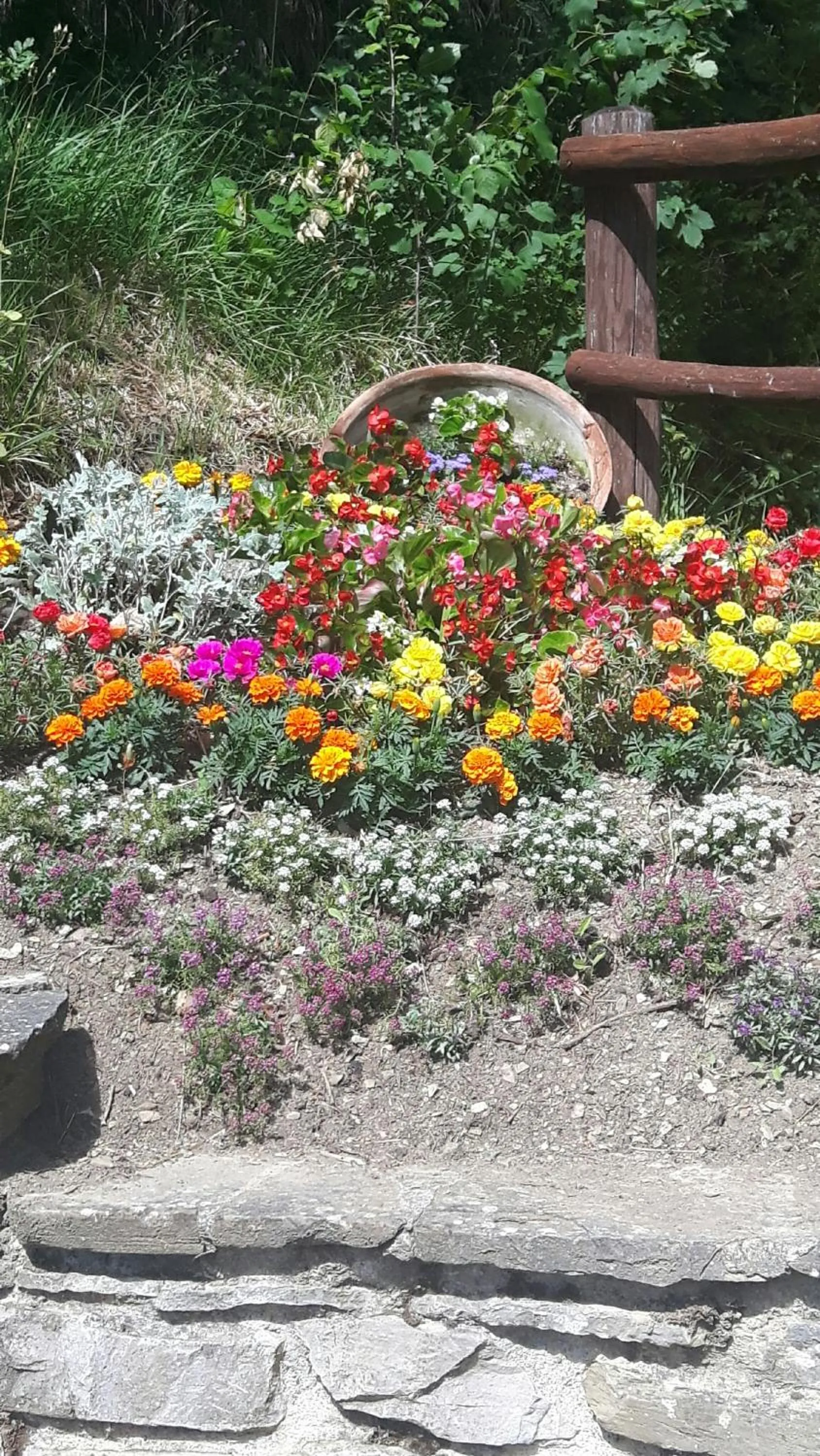 Garden in B&B Borgo Valagnesi casa Annarita