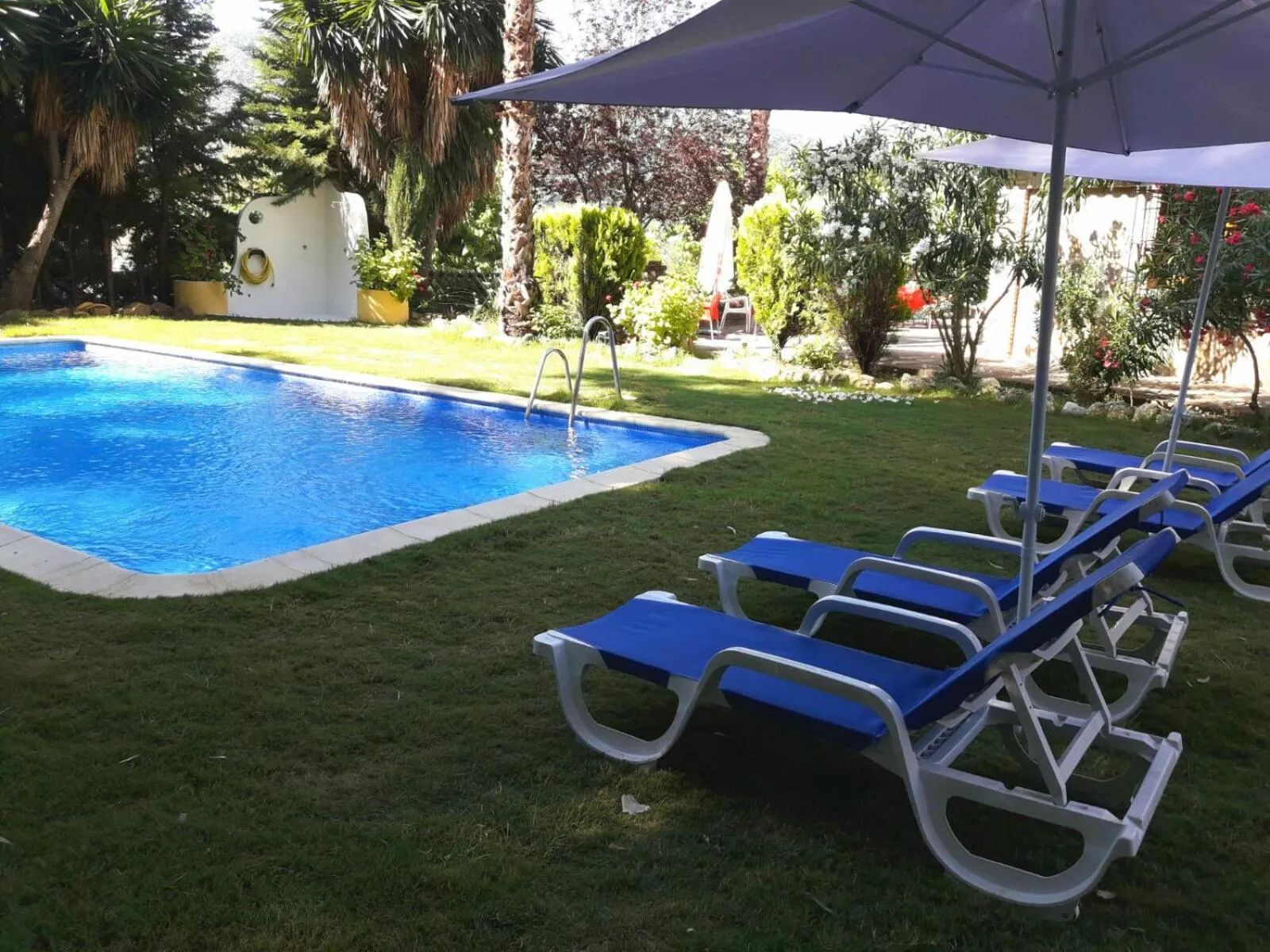 Restaurant/places to eat in Hotel Restaurante Las Buitreras