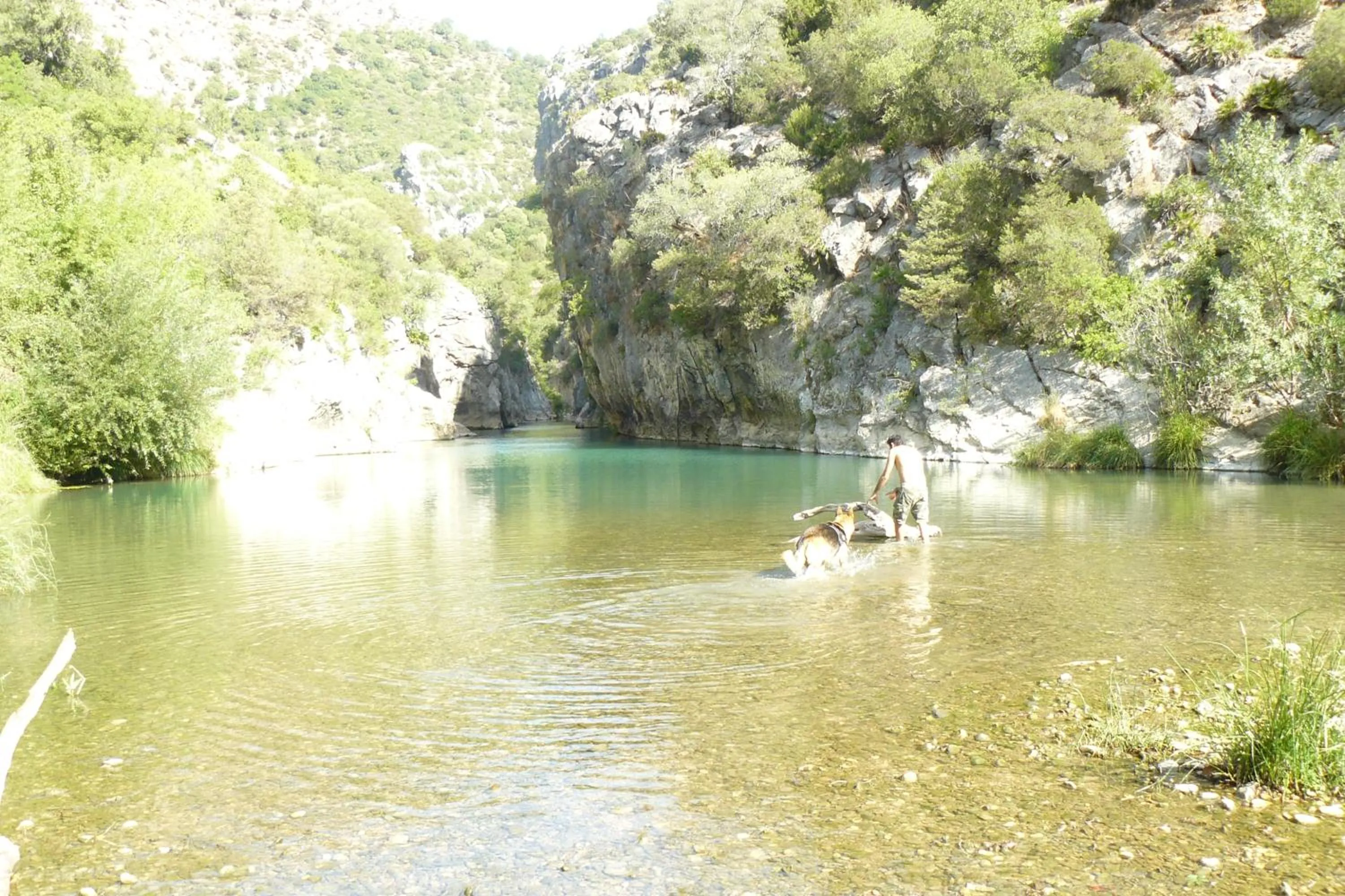 Animals in Hotel Restaurante Las Buitreras