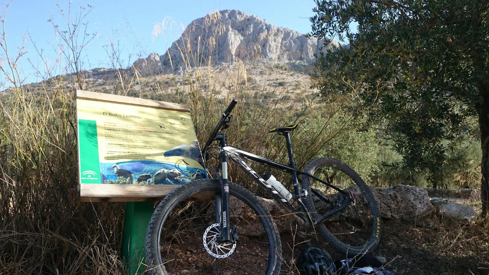 Cycling in Hotel Restaurante Las Buitreras