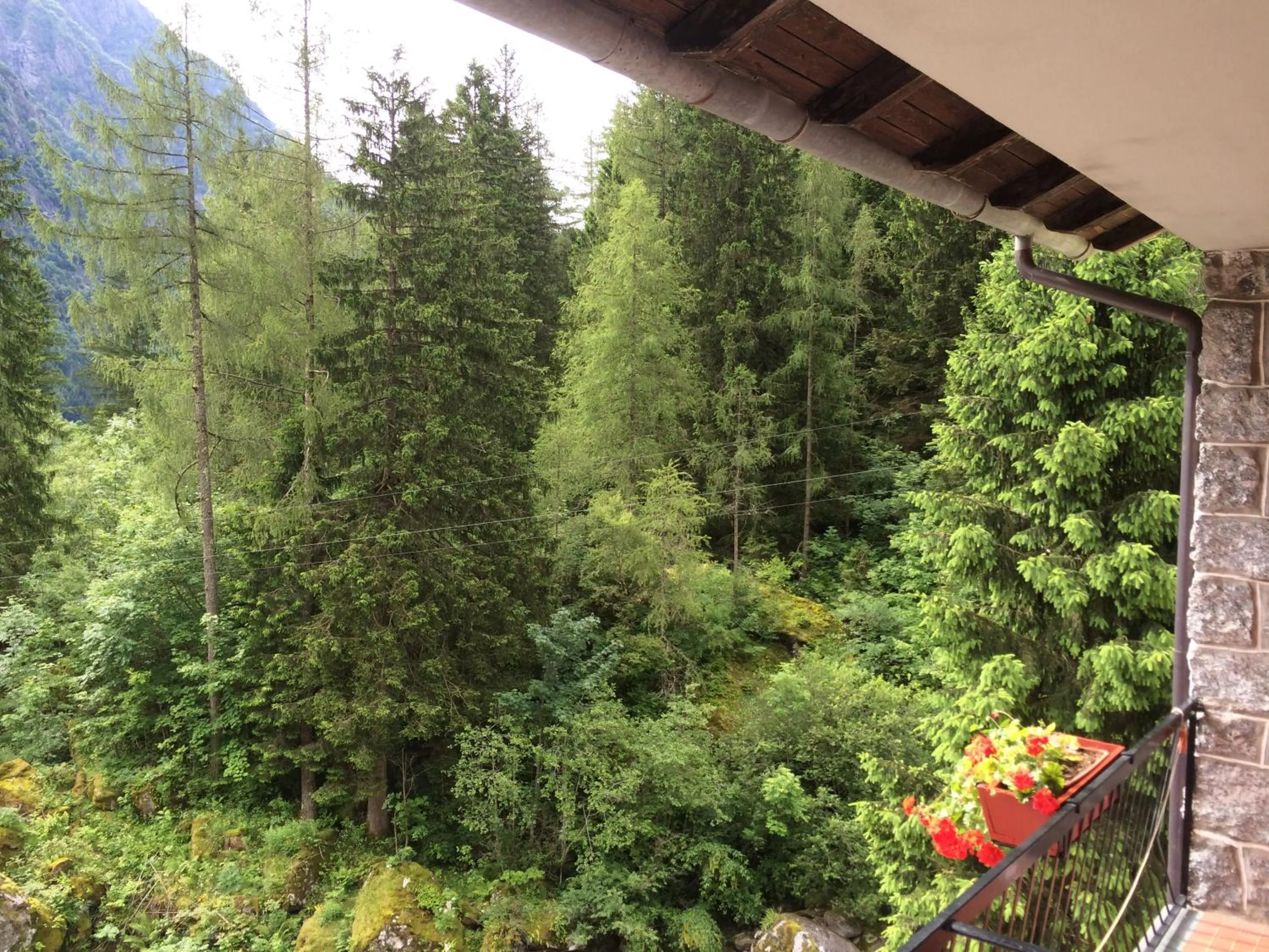Mountain view in Hotel Le Cime