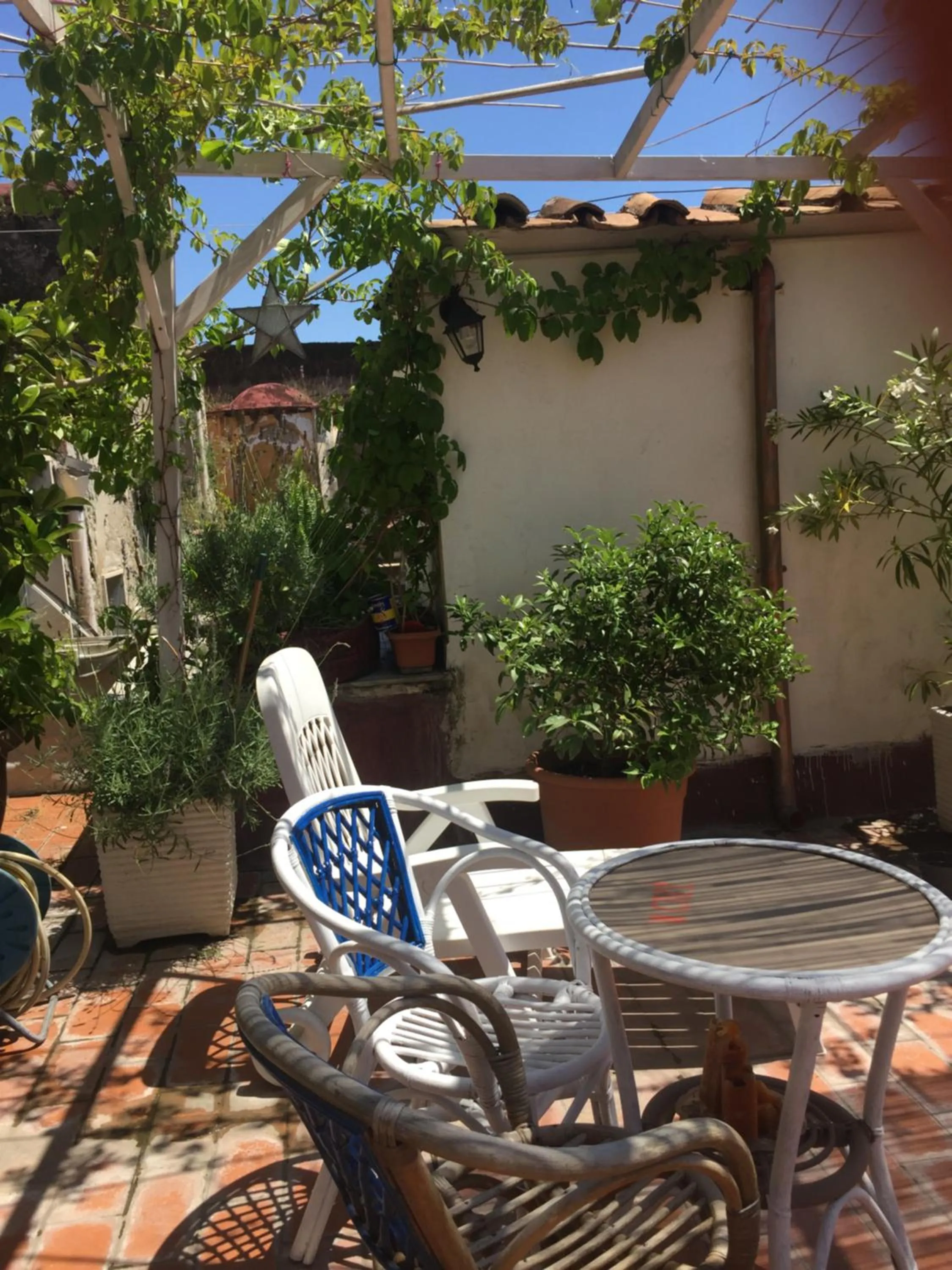 Balcony/Terrace in B&B La Terrazza Napoli