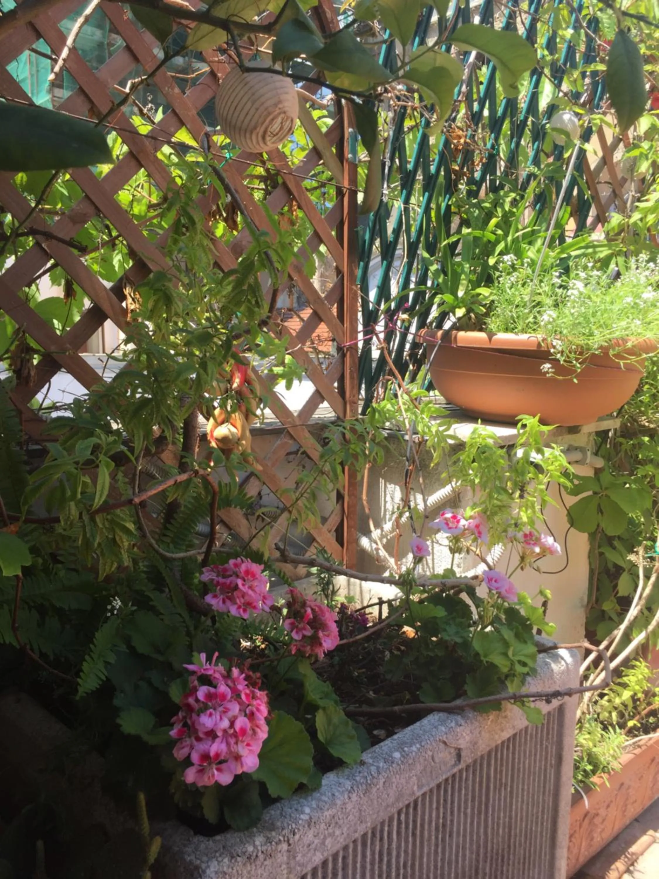 B&B La Terrazza Napoli