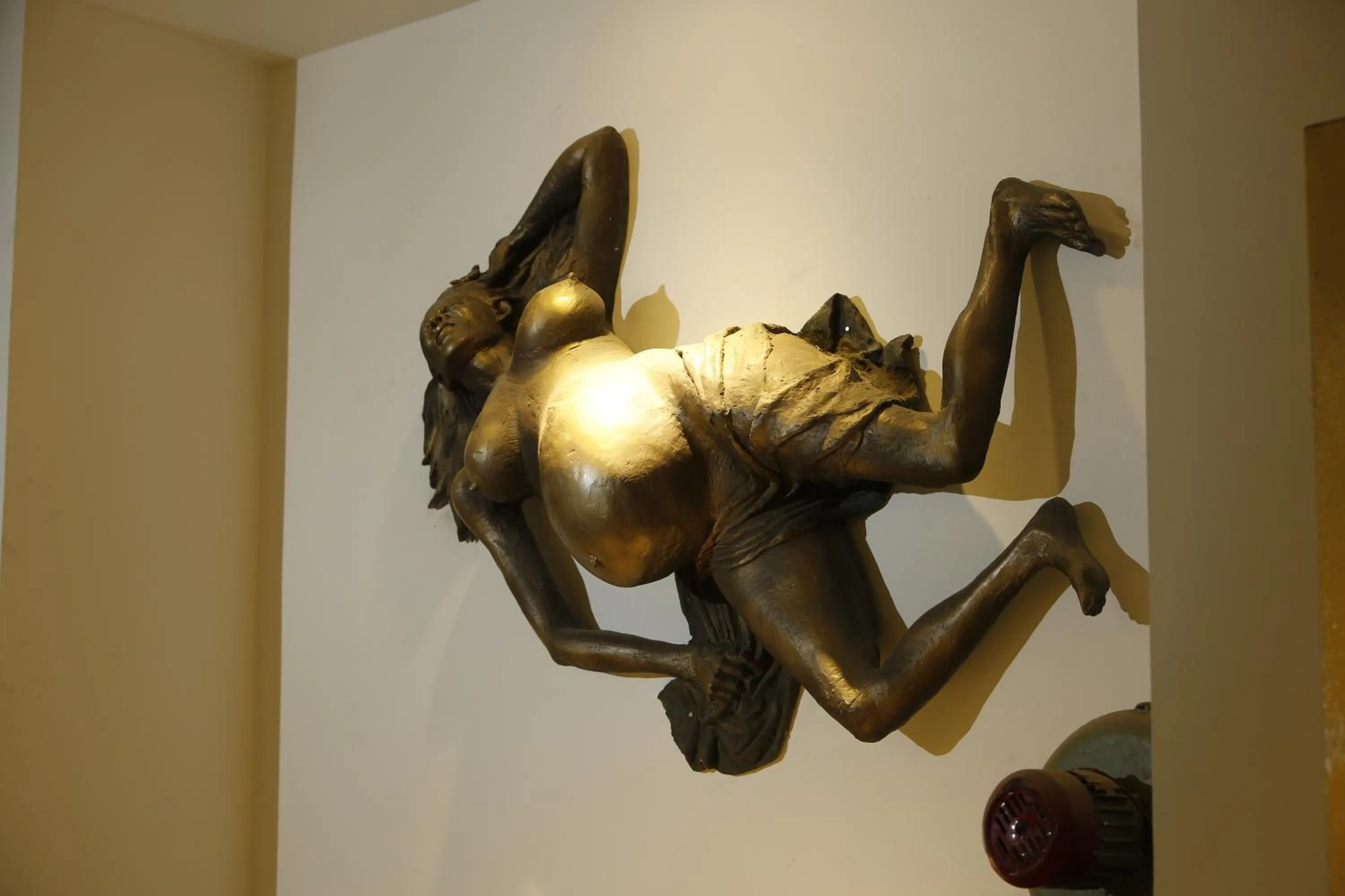 Garden in Hotel Arts Kathmandu