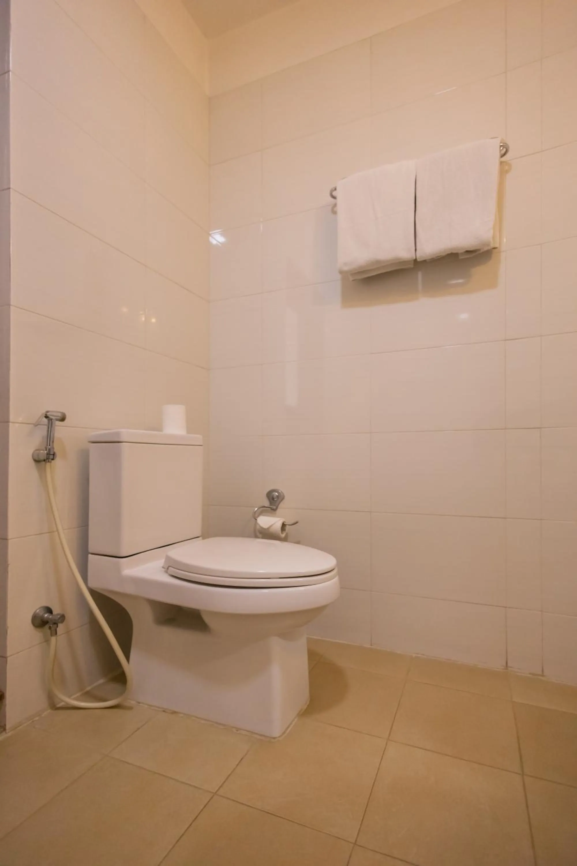 Toilet in Hotel Arts Kathmandu