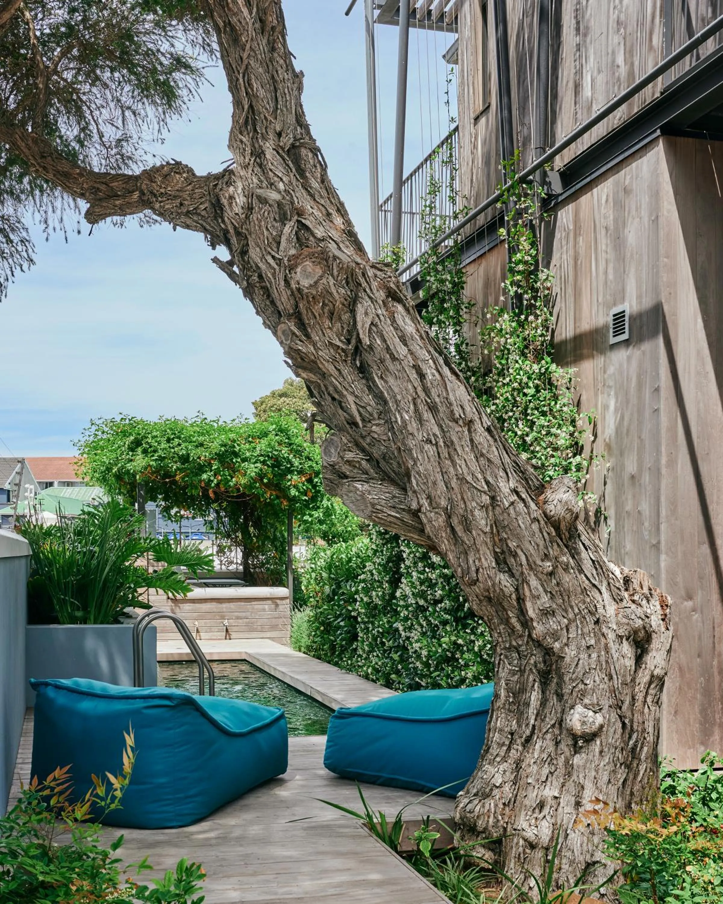 Patio in Harpers House