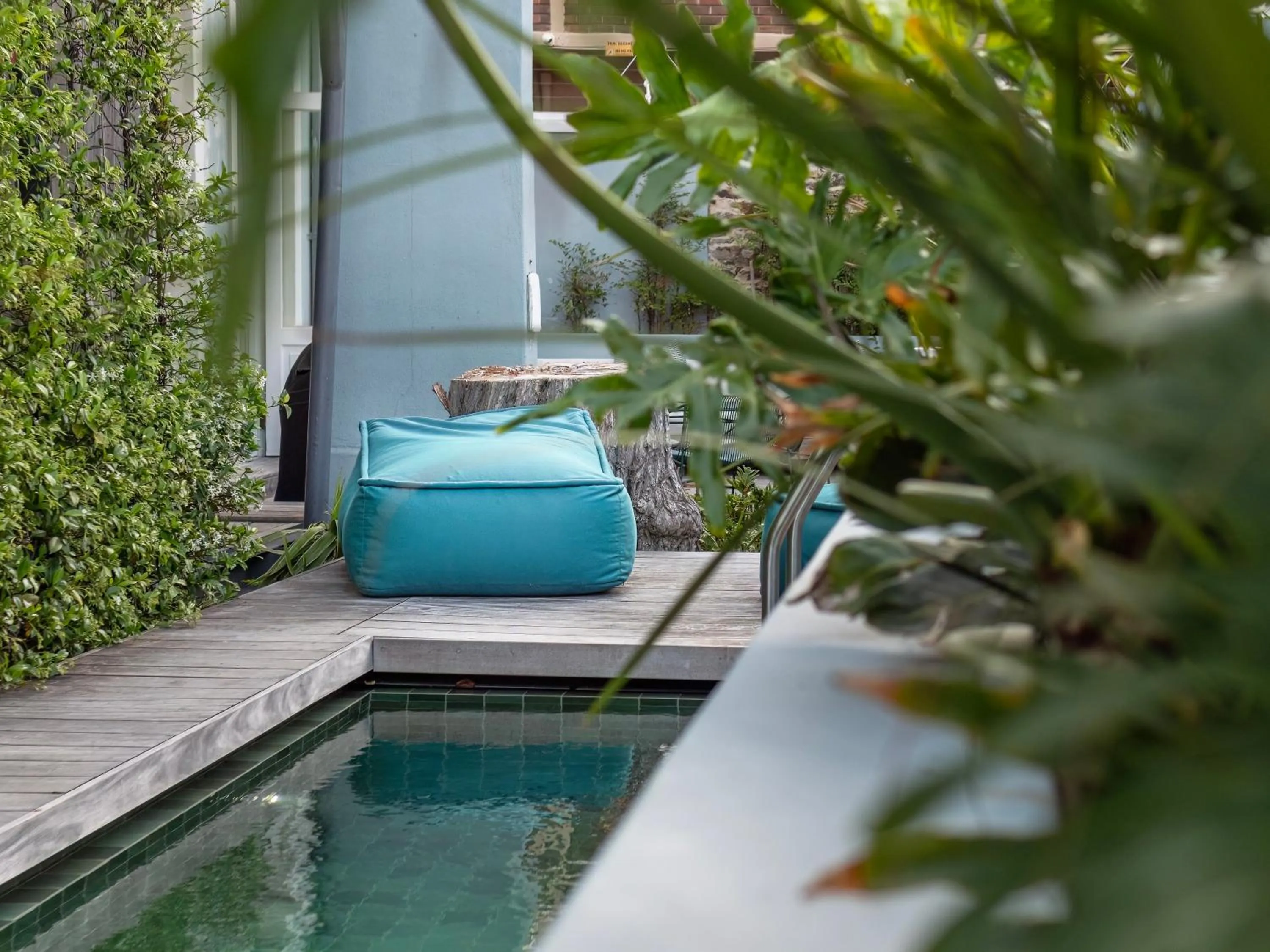 Garden in Harpers House