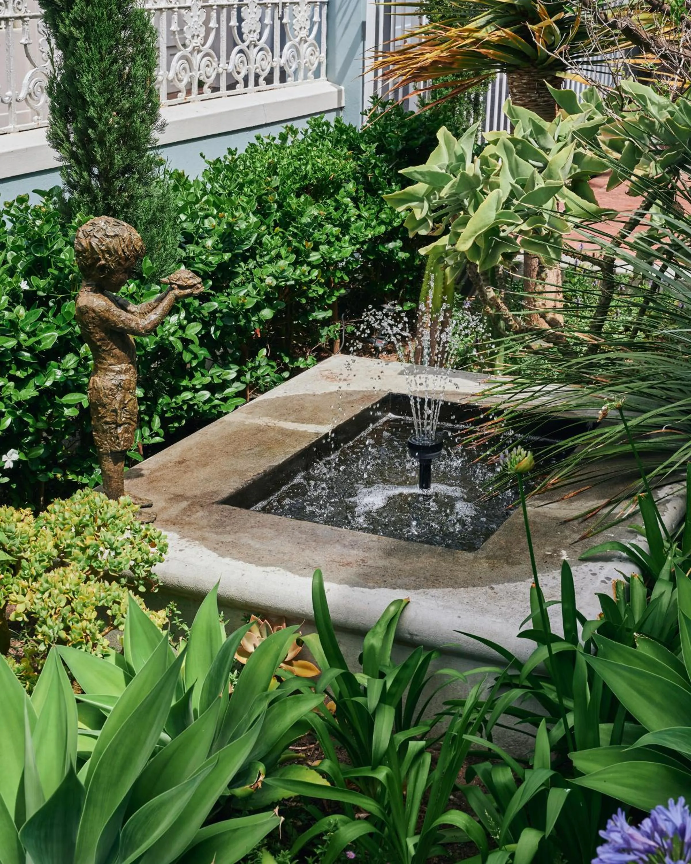 Garden in Harpers House