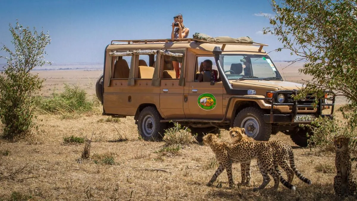 Animals in Mara Leisure Camp