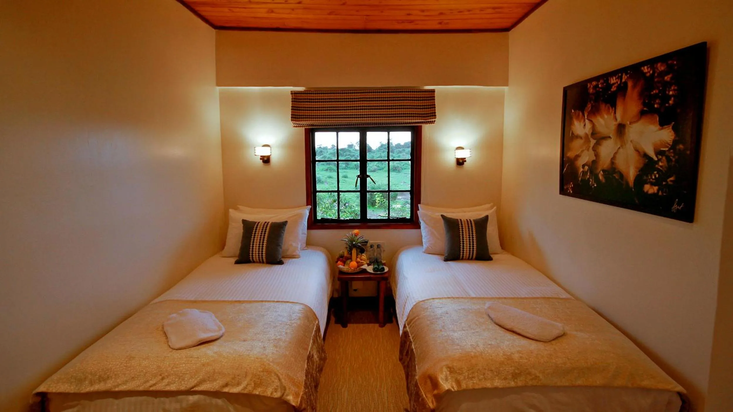 Bed in The Ark Lodge