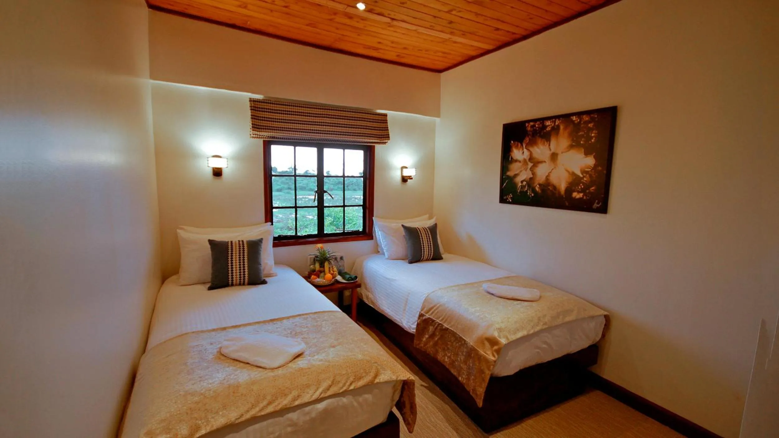 Bedroom, Bed in The Ark Lodge