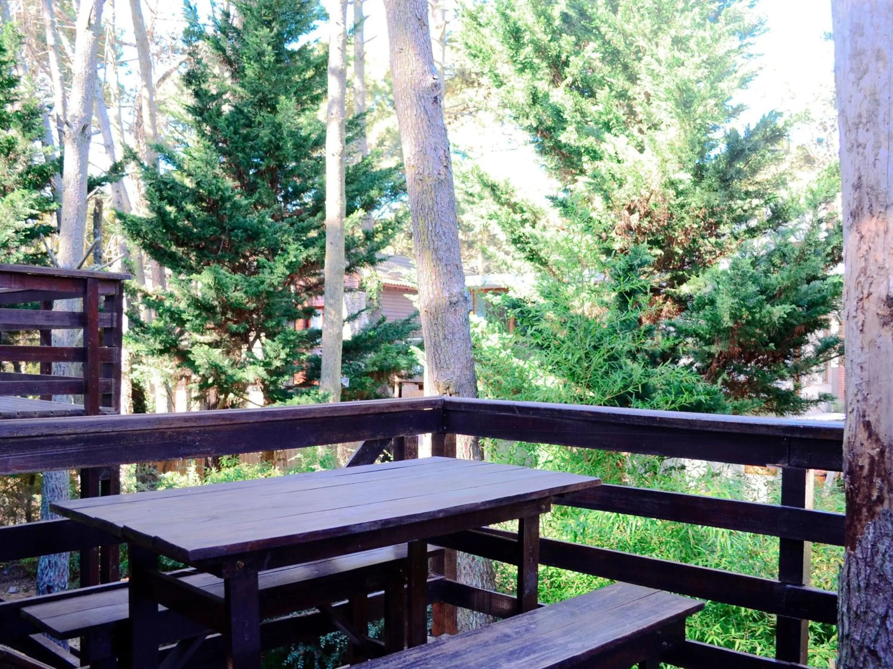 Natural landscape in Altos Medanos Cabañas & Club de Bosque