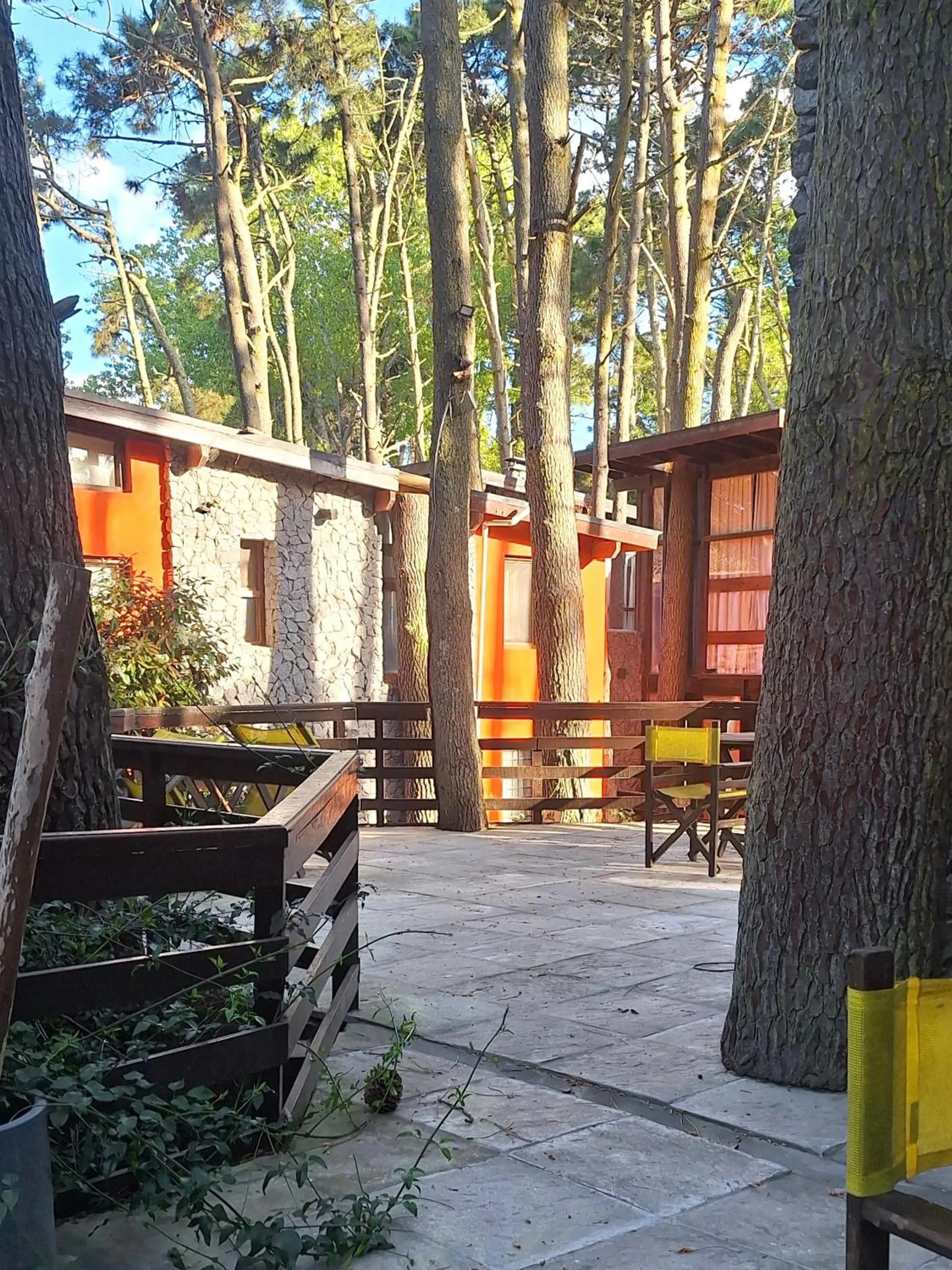Natural landscape in Altos Medanos Cabañas & Club de Bosque