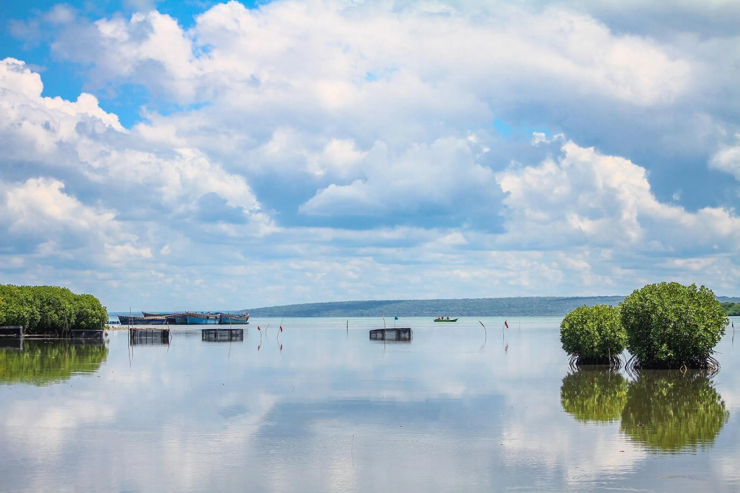 Natural landscape in Atara Lagoon Kalpitiya