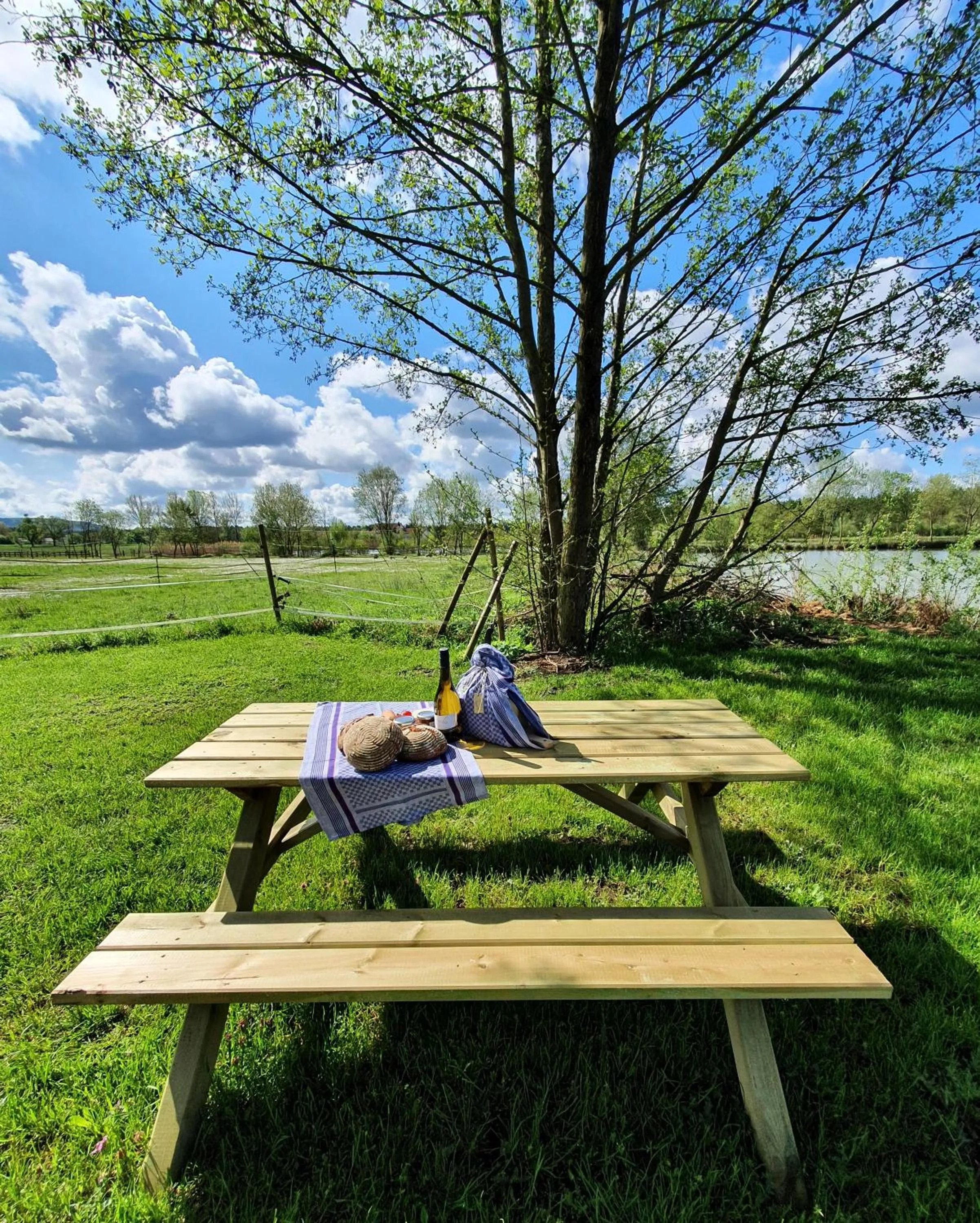 Restaurant/places to eat in Scherauer Hof