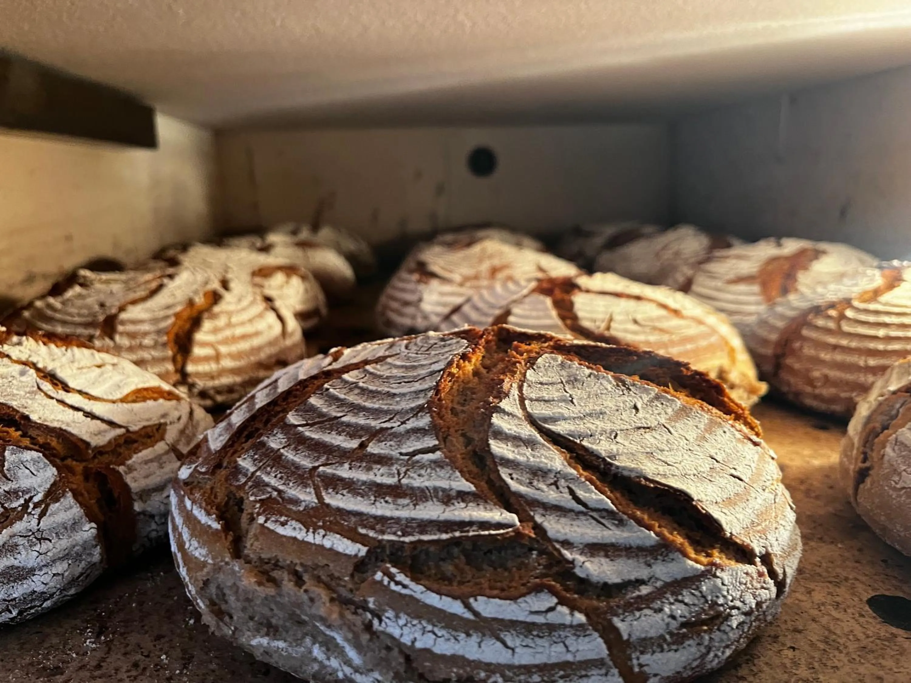 Restaurant/places to eat in Scherauer Hof