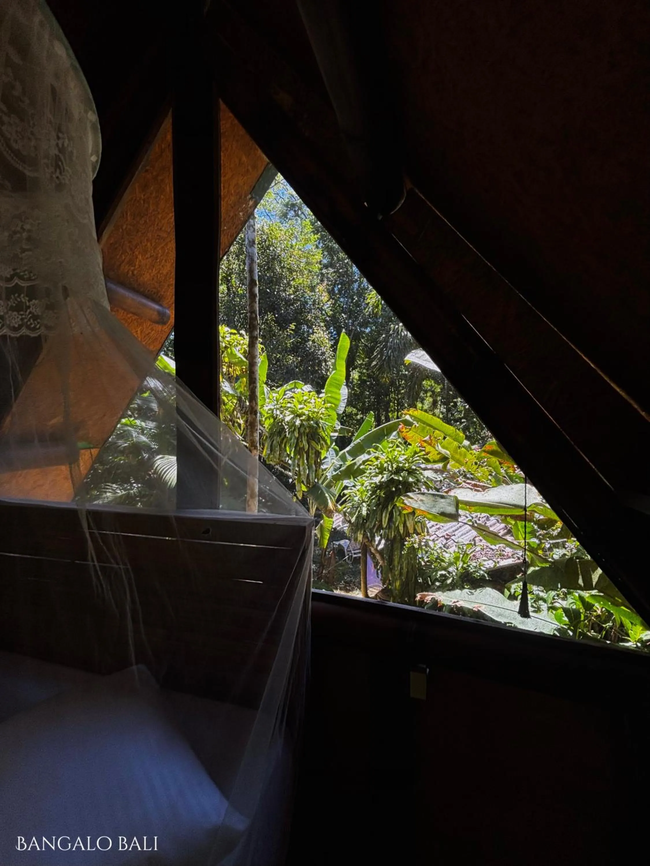 Day in Sitio Simple Life