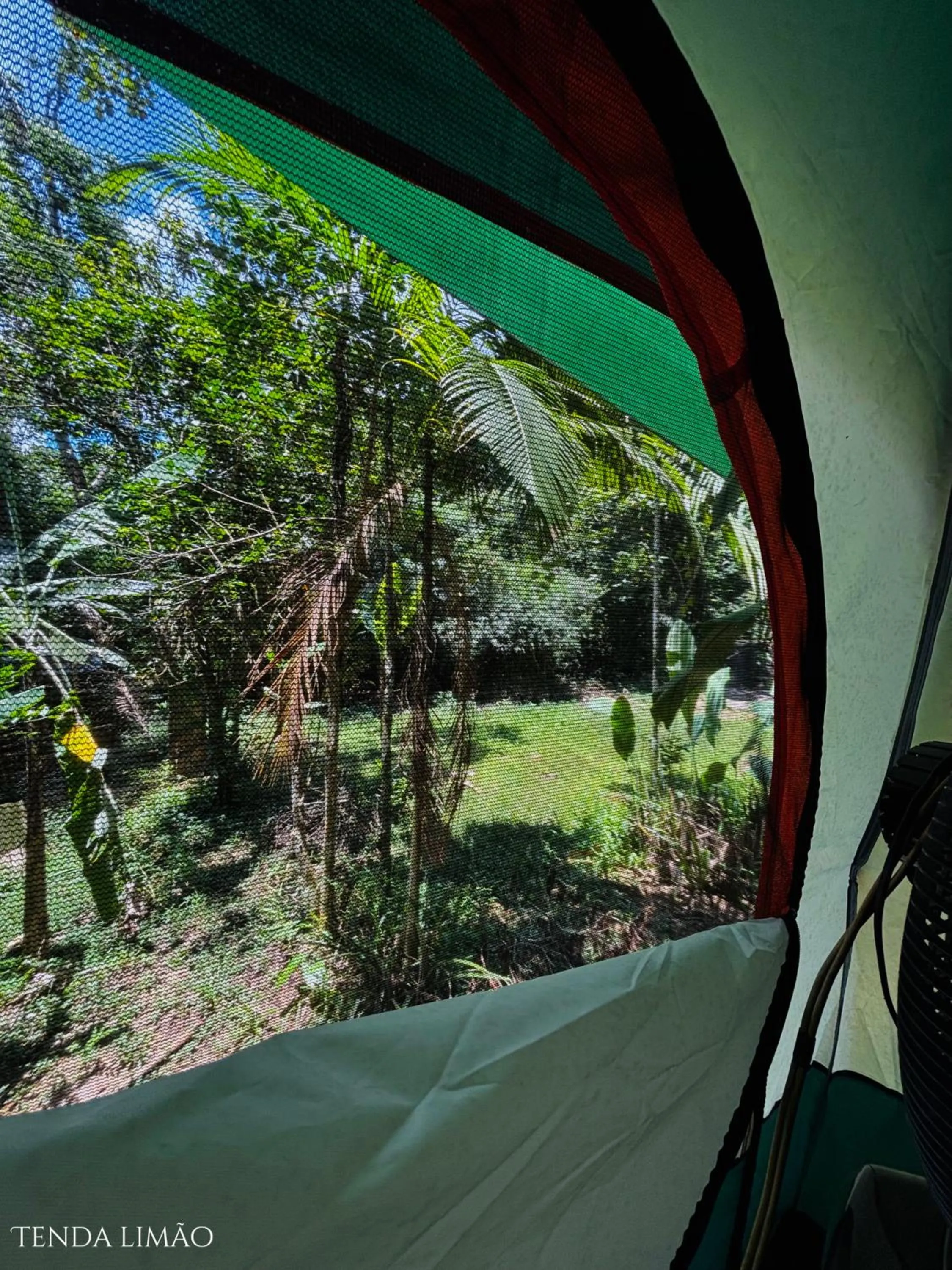 Day in Sitio Simple Life