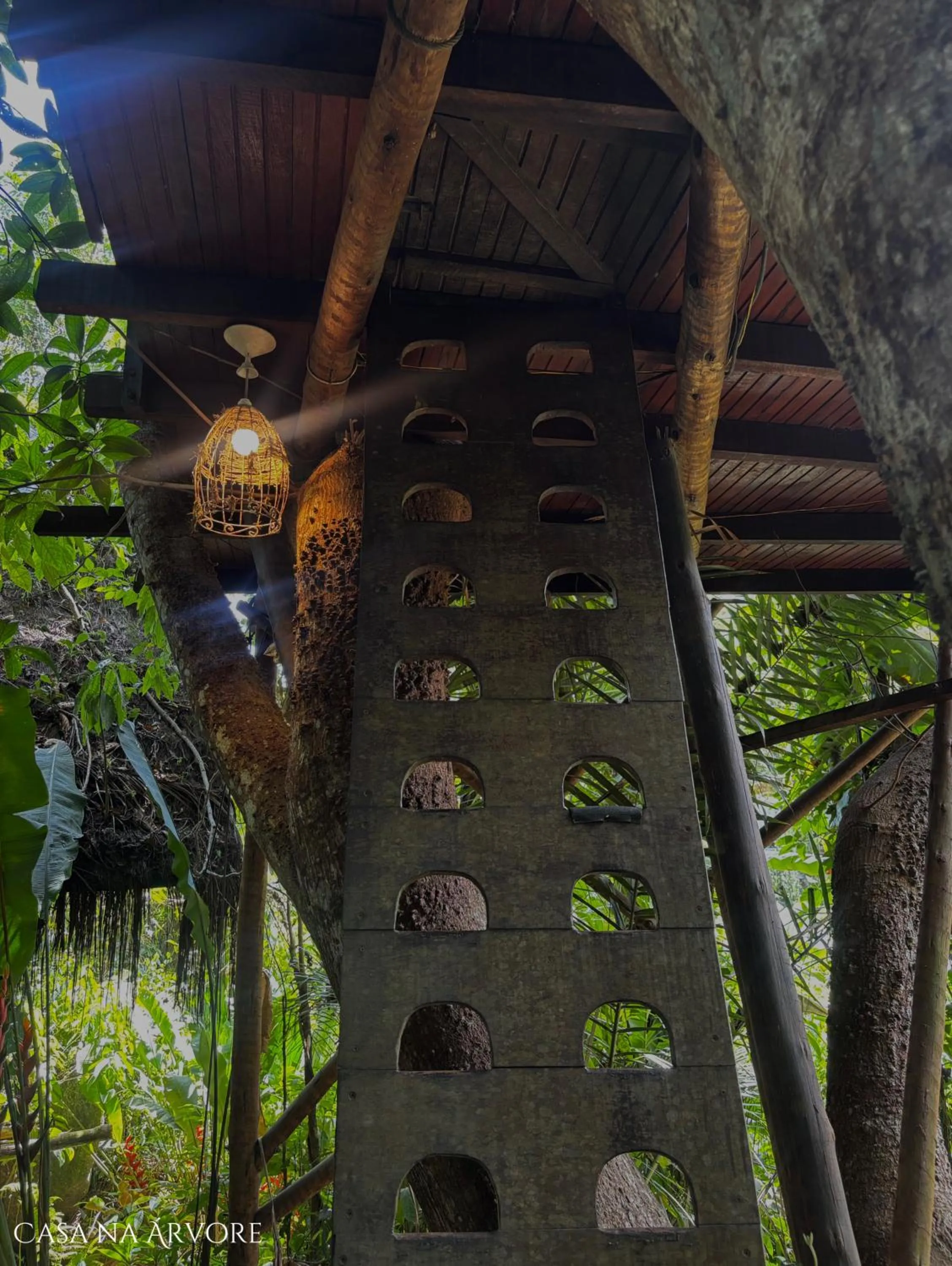 Day in Sitio Simple Life