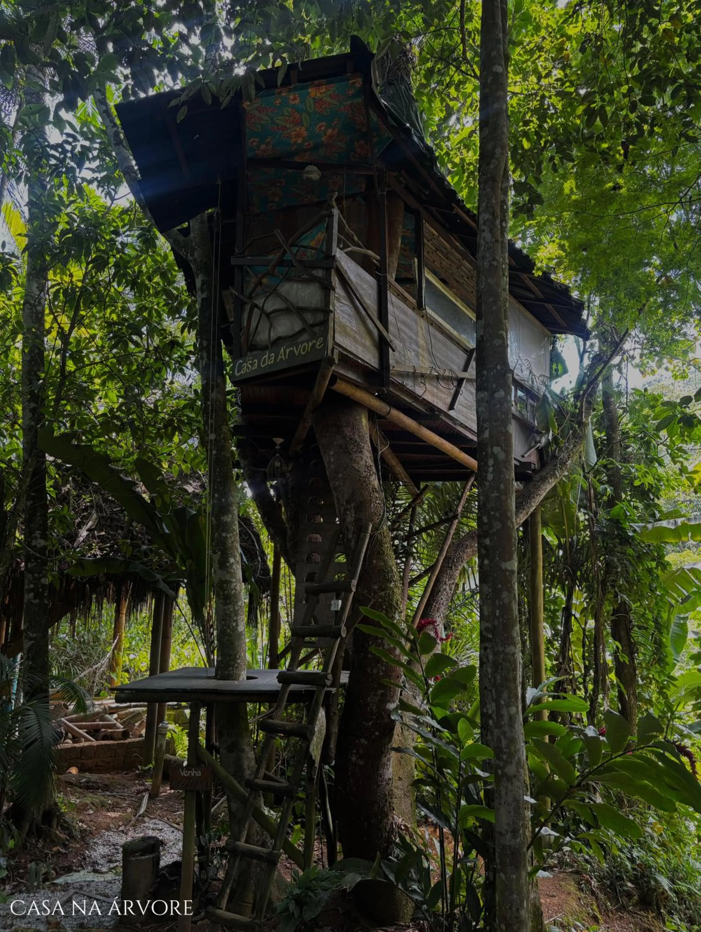 Day in Sitio Simple Life