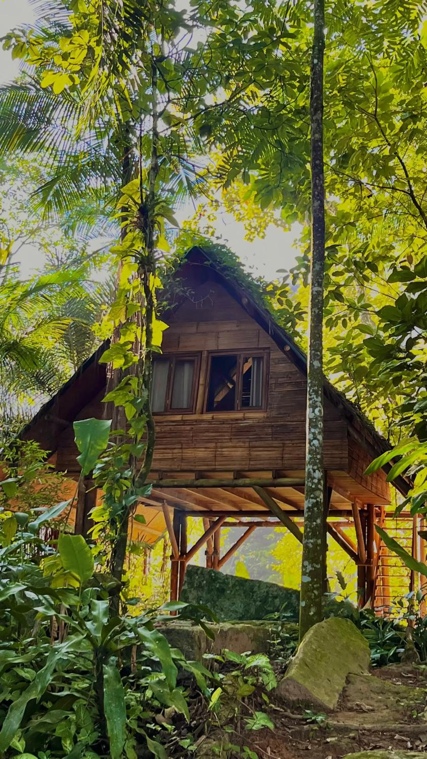 Day in Sitio Simple Life