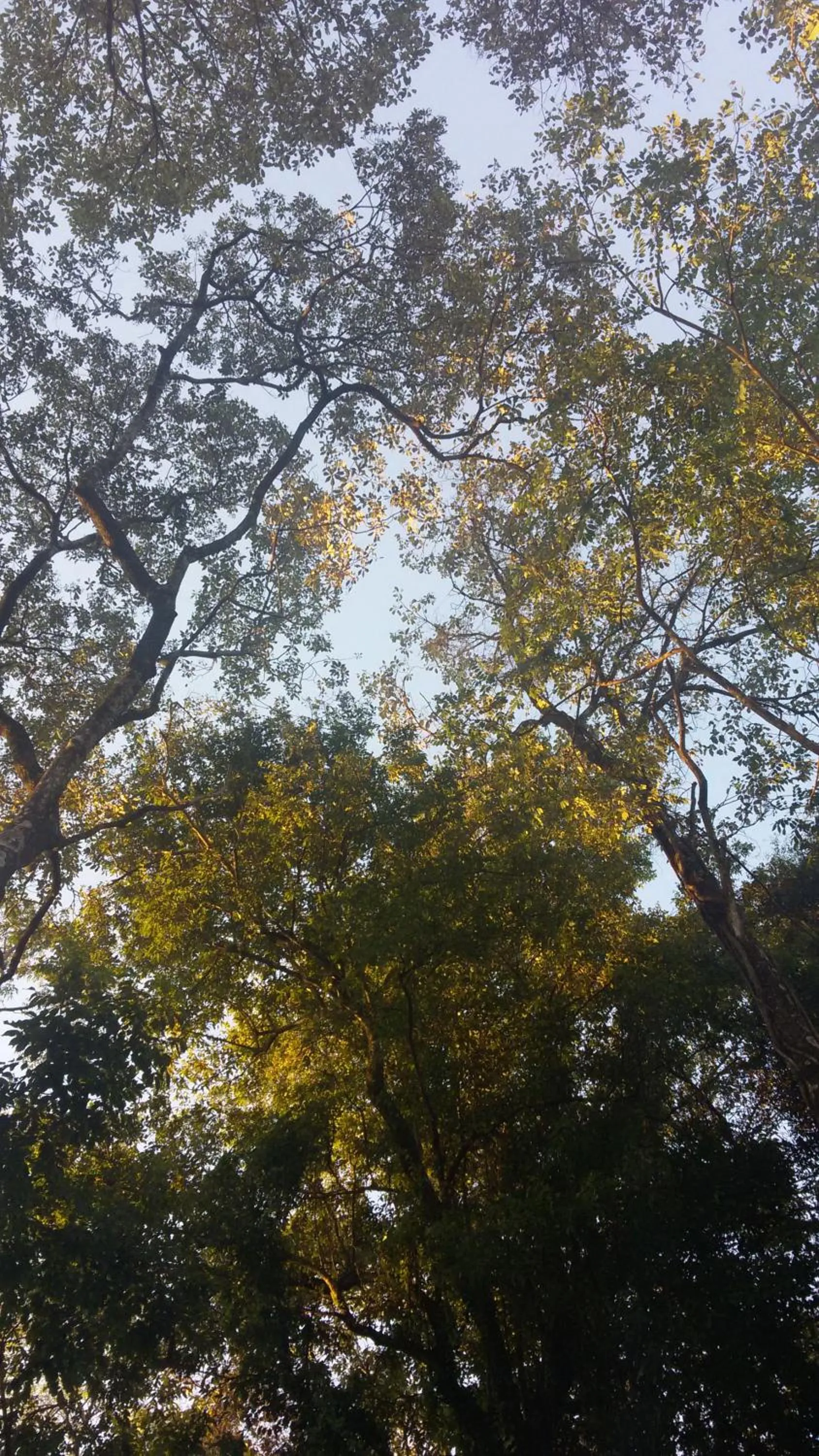 Day in Kelta Hotel Puerto Iguazú CENTRO