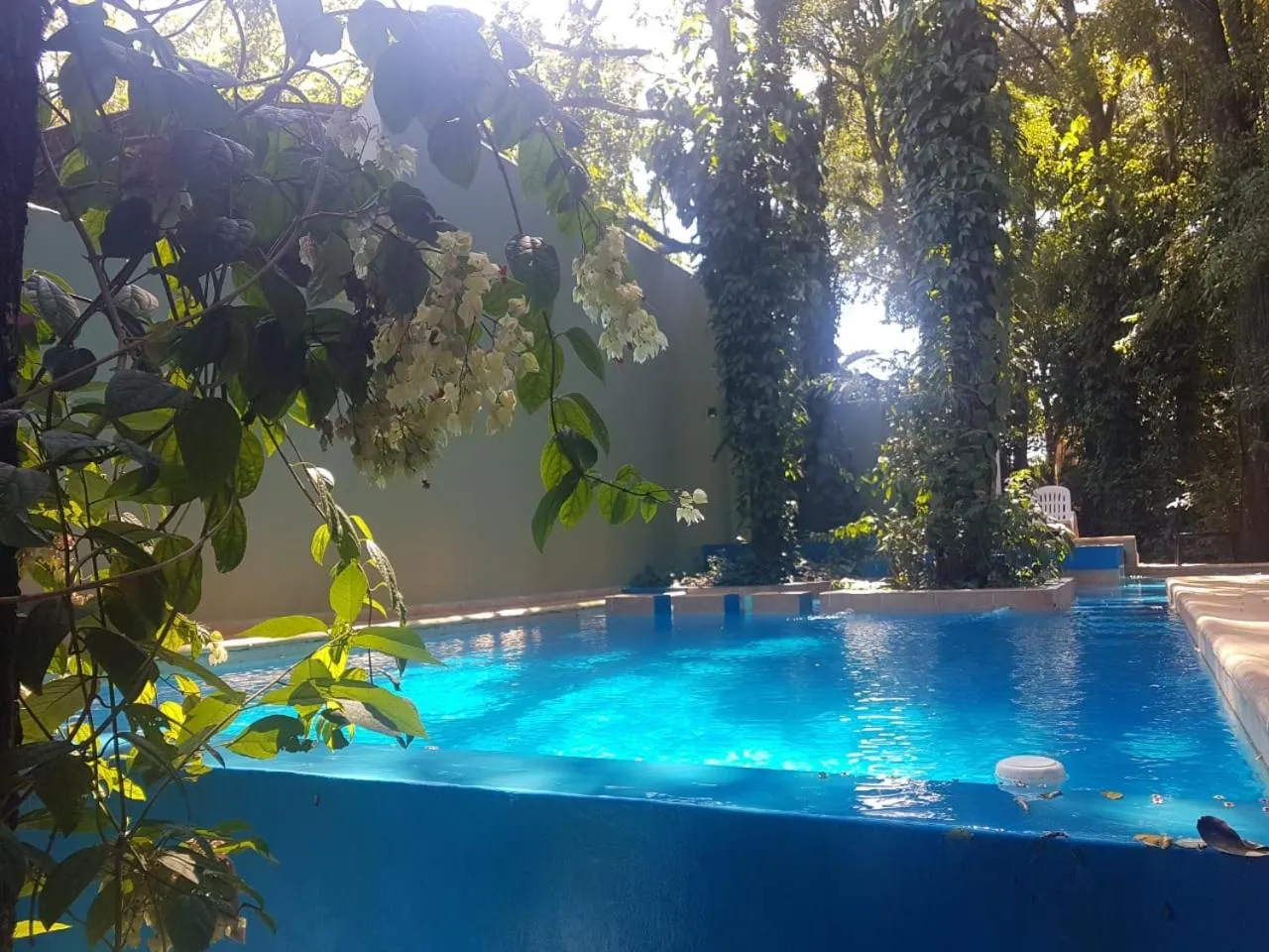 Swimming pool in Kelta Hotel Puerto Iguazú CENTRO