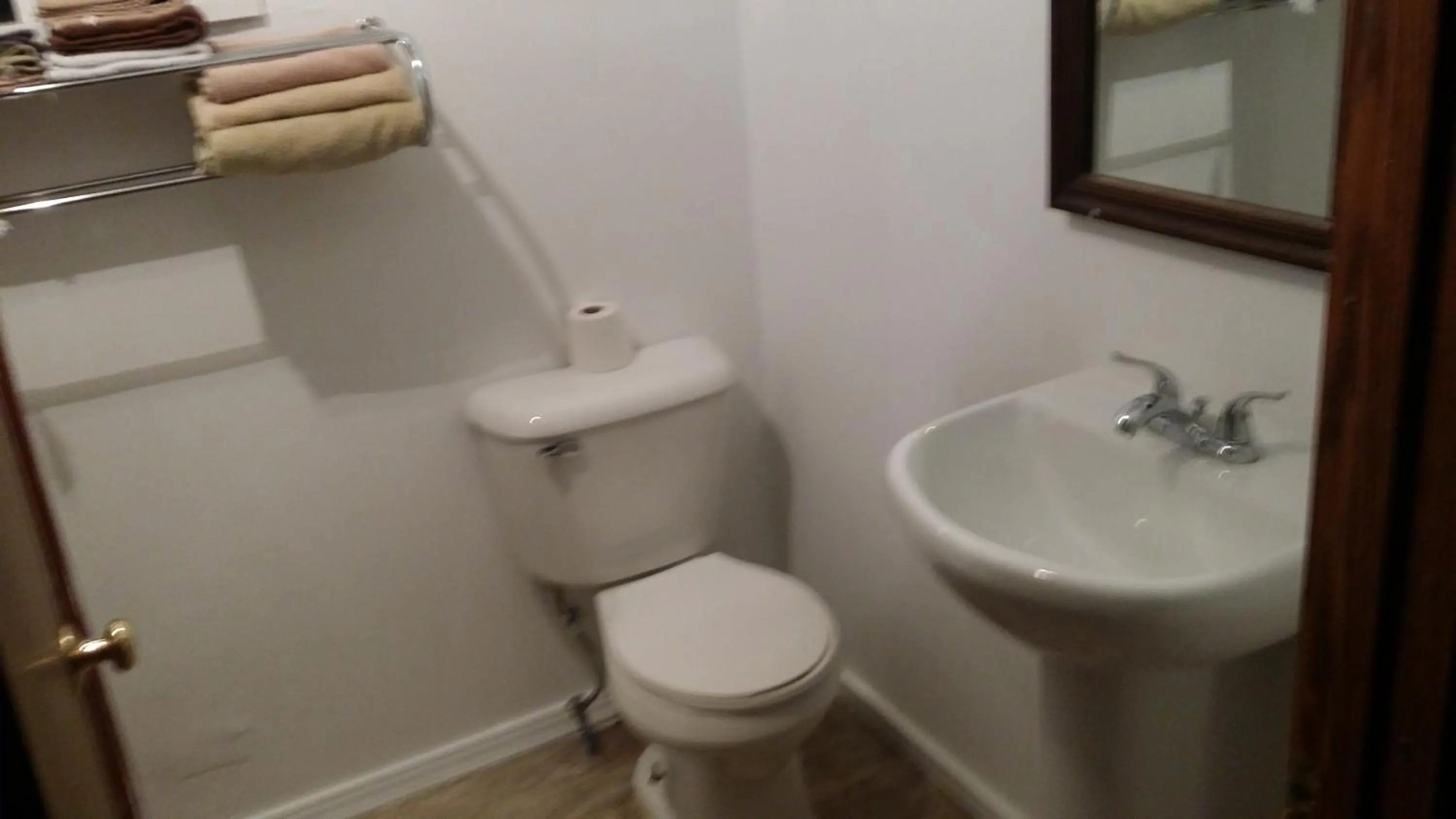 Other in Tarragon Motel